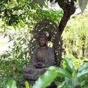 In-person Non-residential Retreat at Los Altos Community Center