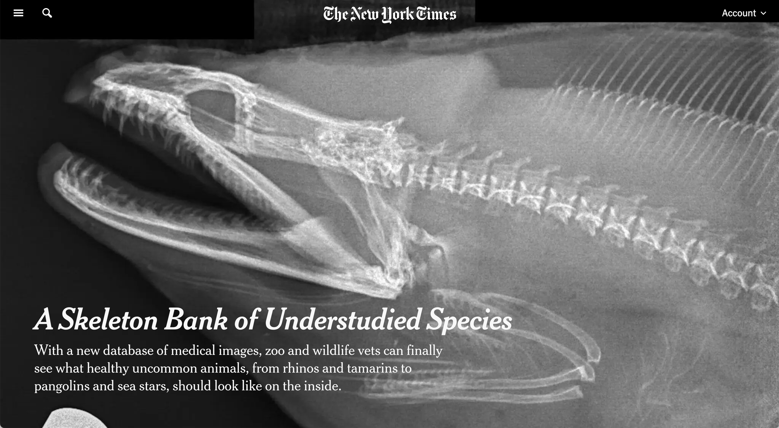 Brookfield Zoo, Chicago