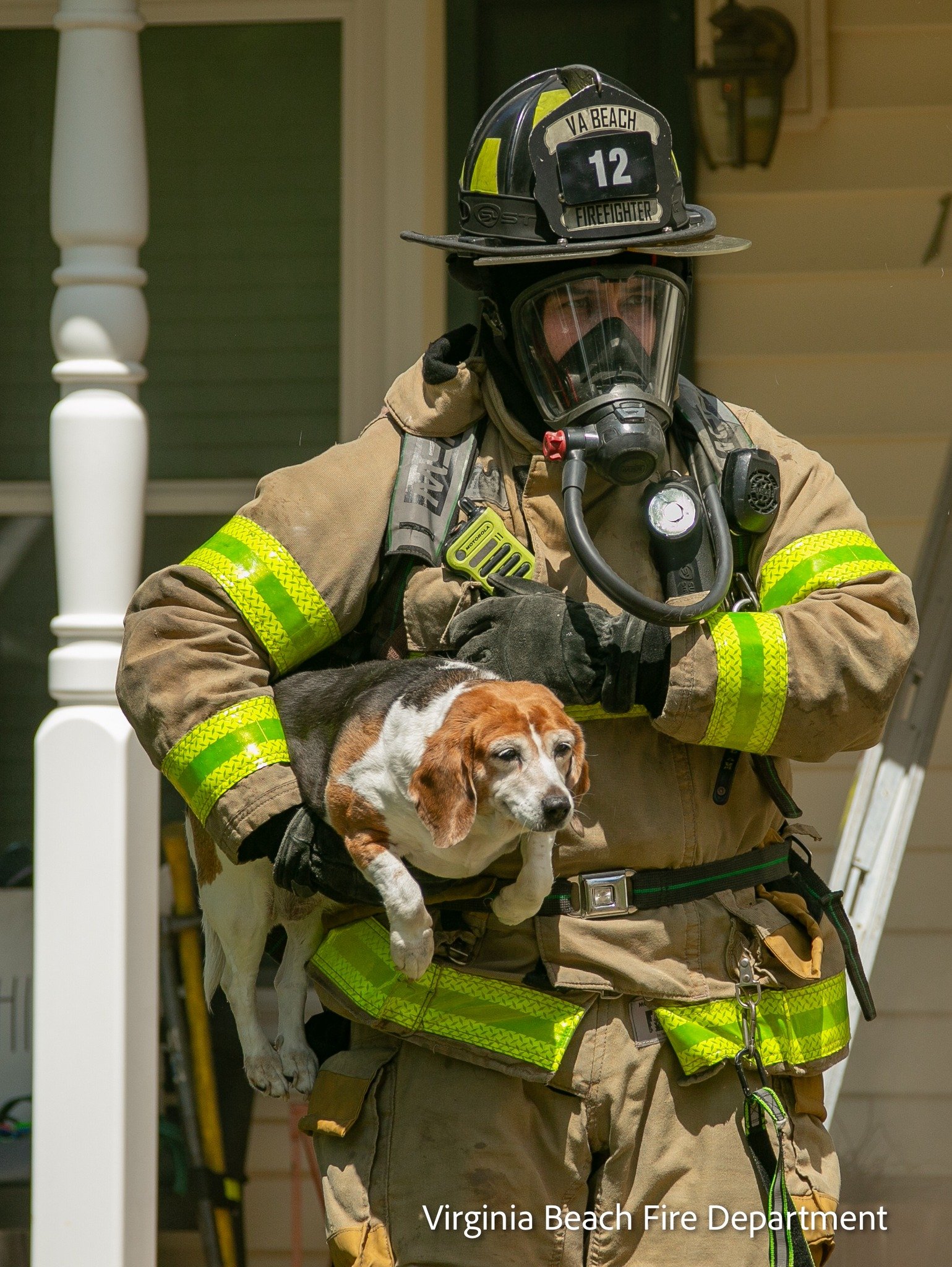 A firefighter in full gear holding a beagle dog in a harness outside a house.