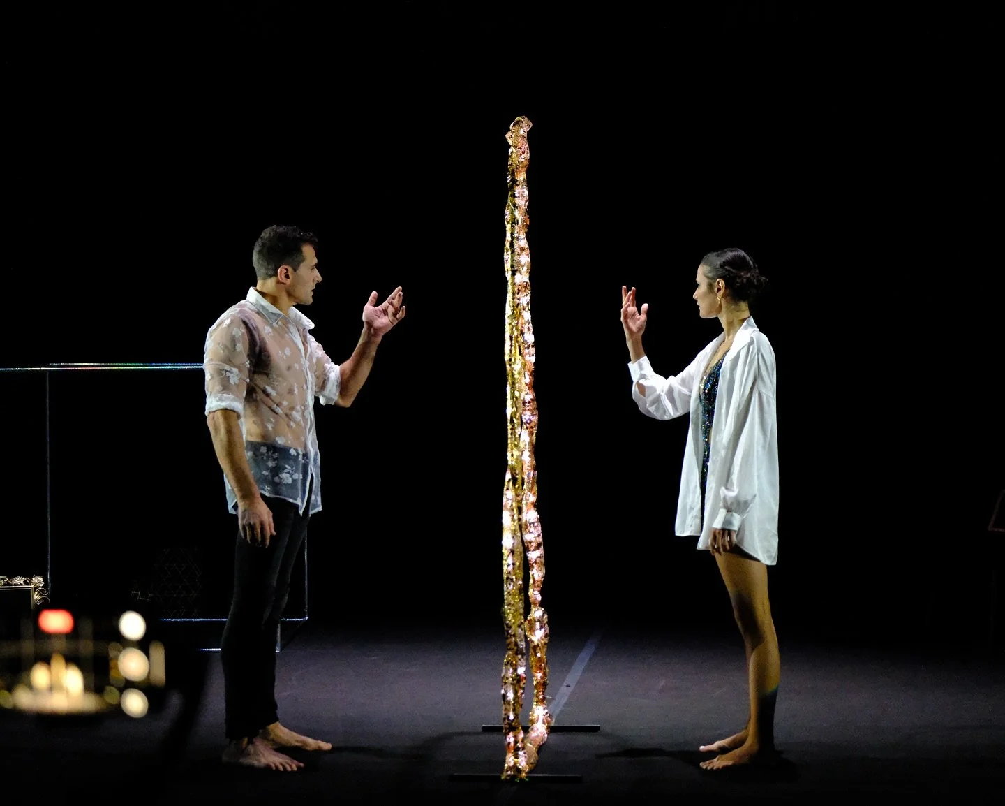 ✨ Mirror of Soul ✨
A 45 minutes duet performance exploring connection, reflection, and emotion. 
Created and performed by EmYo 🪞
• • • •
#artists #duoshow #showduo #artisticshow #aerialist #circus #circuslife #circusgoal