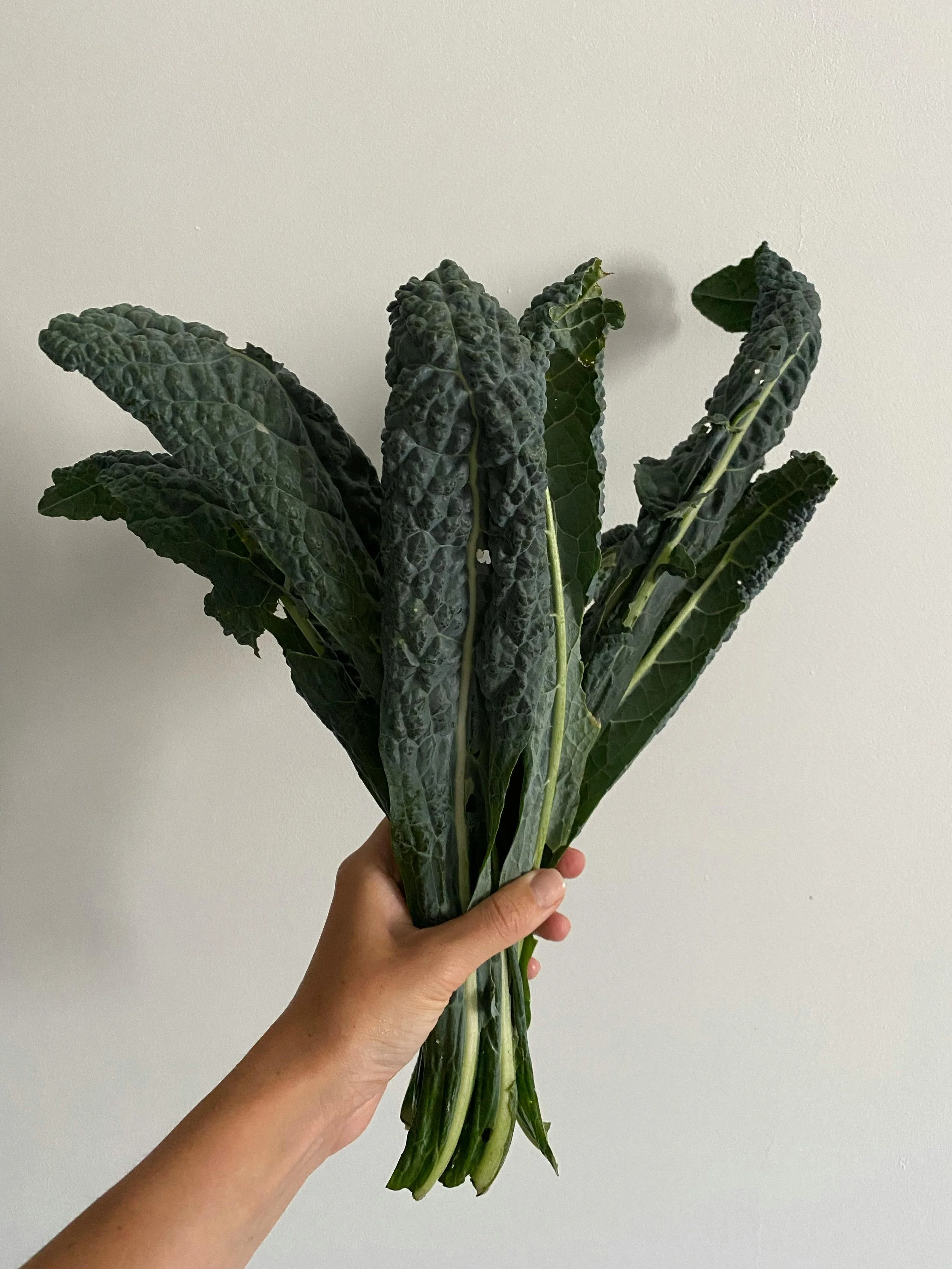 Person holding a bunch of dark green kale leaves against a light background.