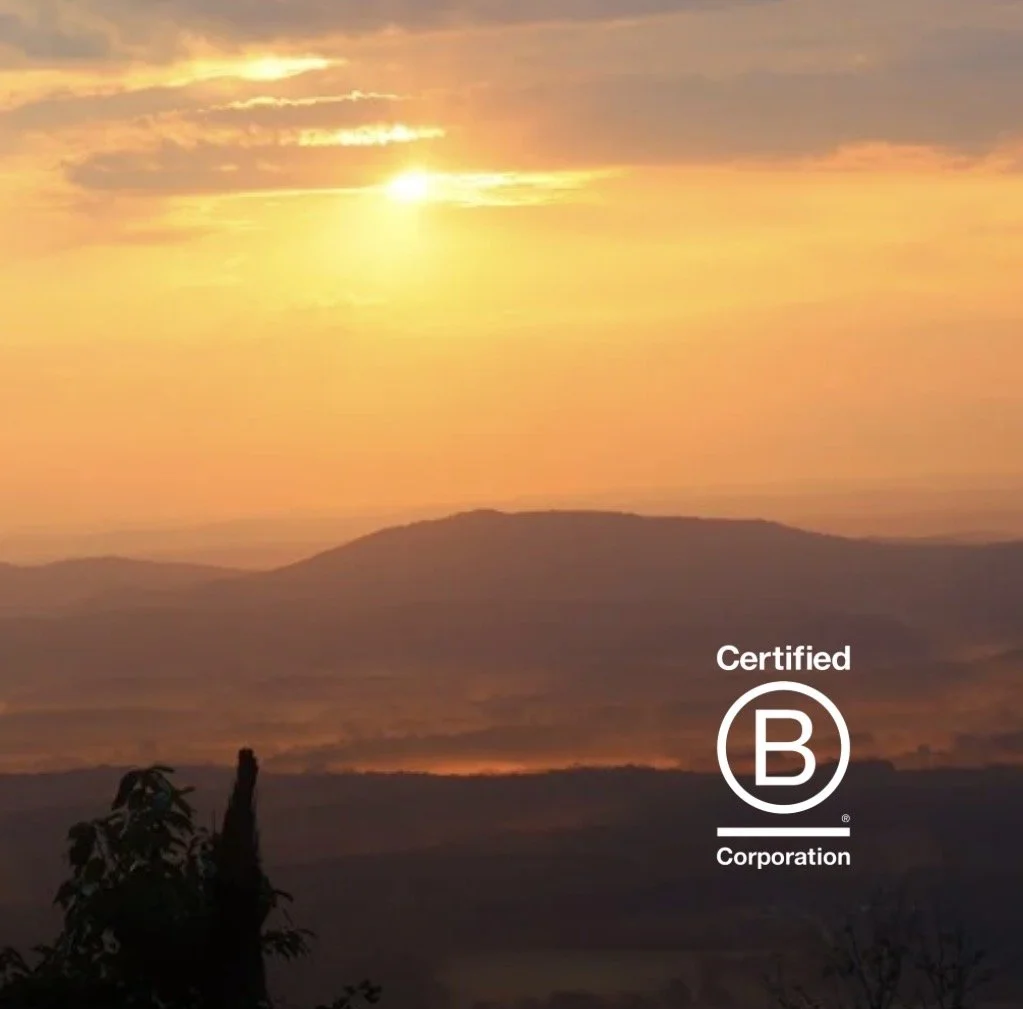 Why Becoming a Certified B Corporation Matters to Me