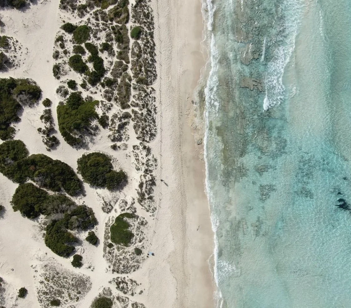 Aerial view of a beach with white sand, green vegetation, and clear blue water.