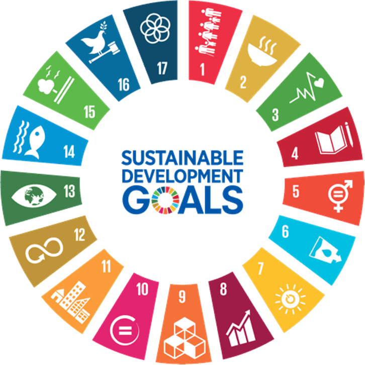 Colorful infographic with icons representing the UN Sustainable Development Goals arranged in a circular pattern.