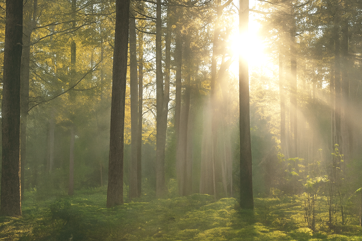 Building Resilience Together