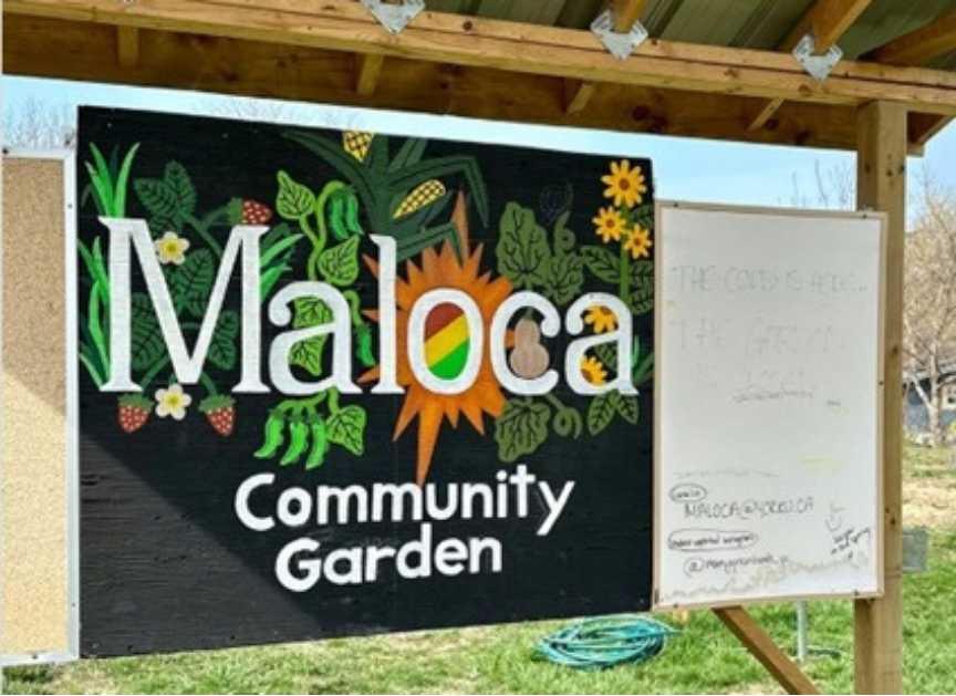 Opening Circle in the Garden: Fall Opening with The Nest x Maloca 