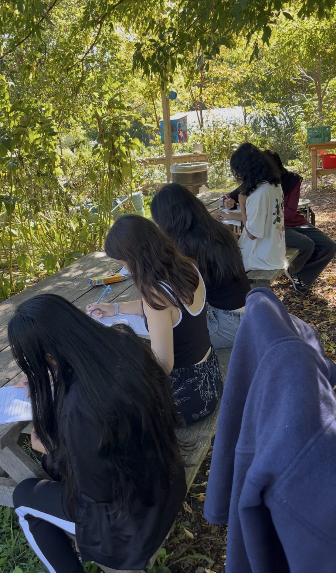 View recent photos.png