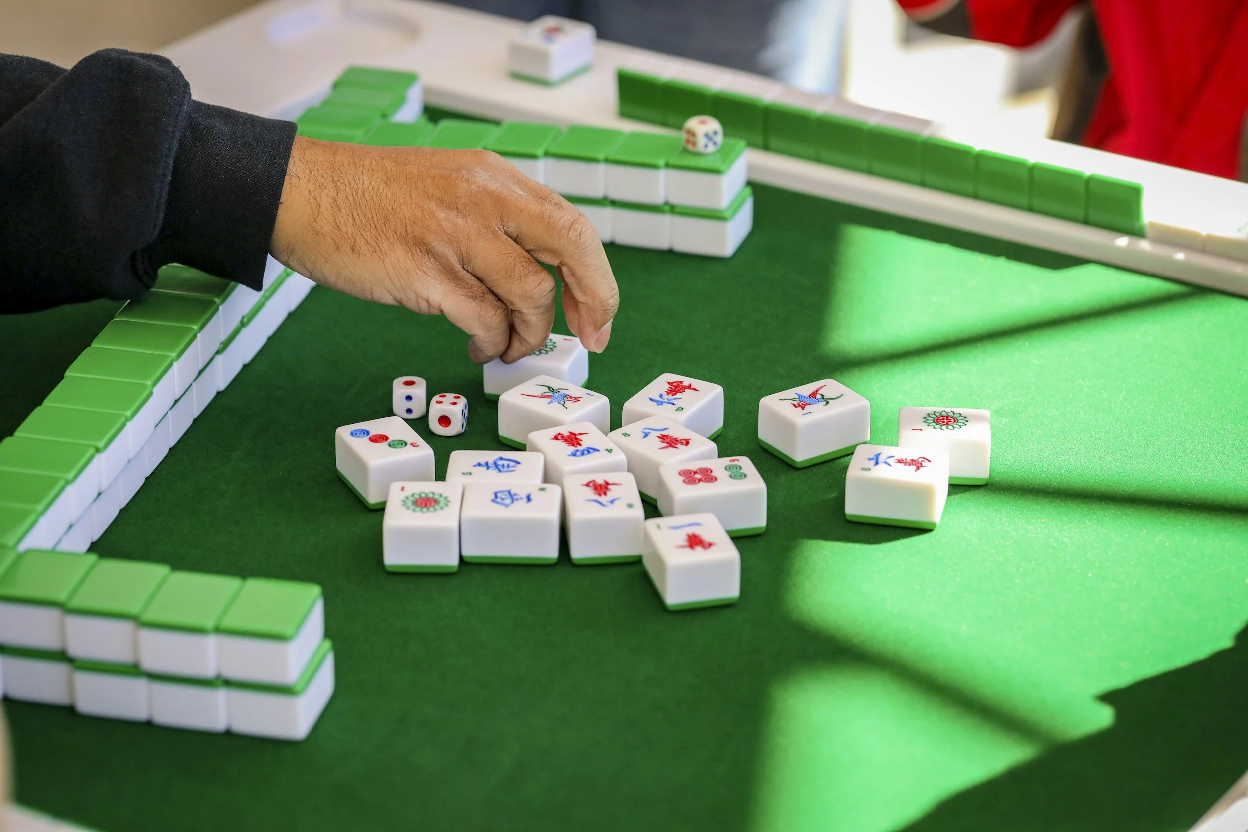 Learn and Play Mah jongg
