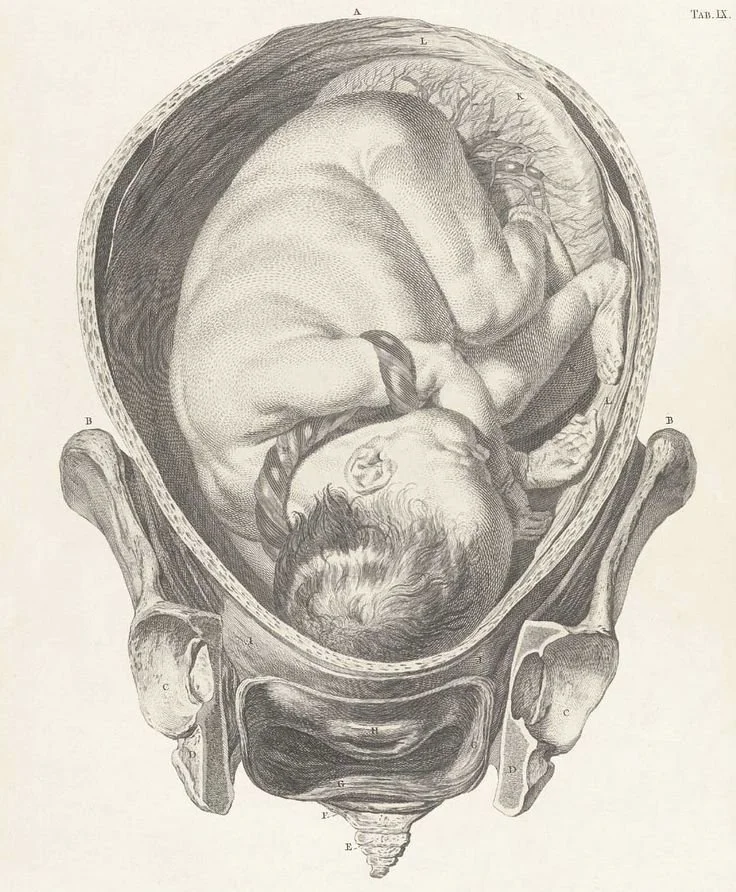 Medical Intervention During Pregnancy &amp; Labor: A Guide for Trauma-Impacted Mothers