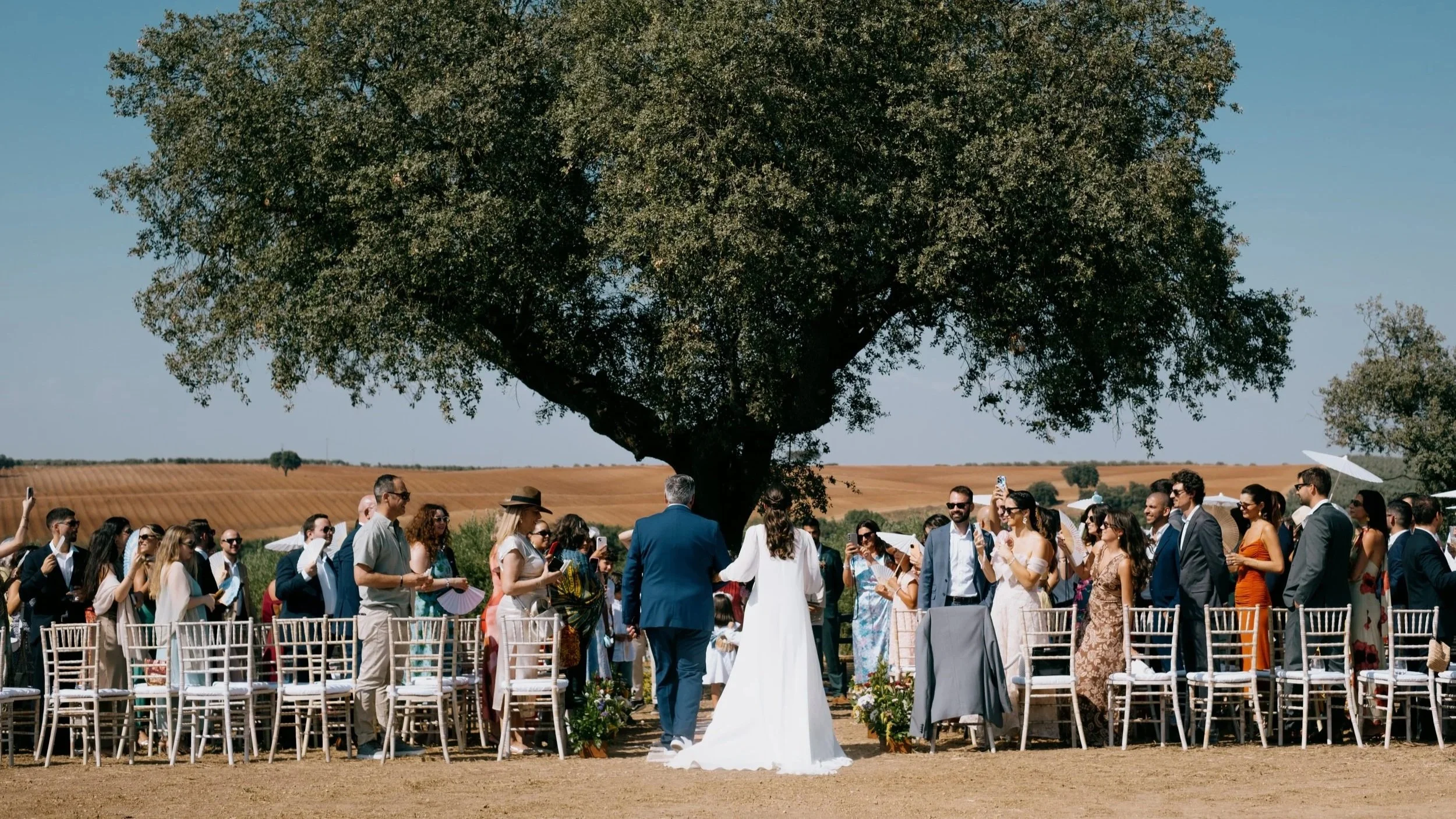 Beautiful outdoor wedding ceremony with a bride walking down the aisle under a large tree, surrounded by guests seated on both sides in a natural countryside setting.