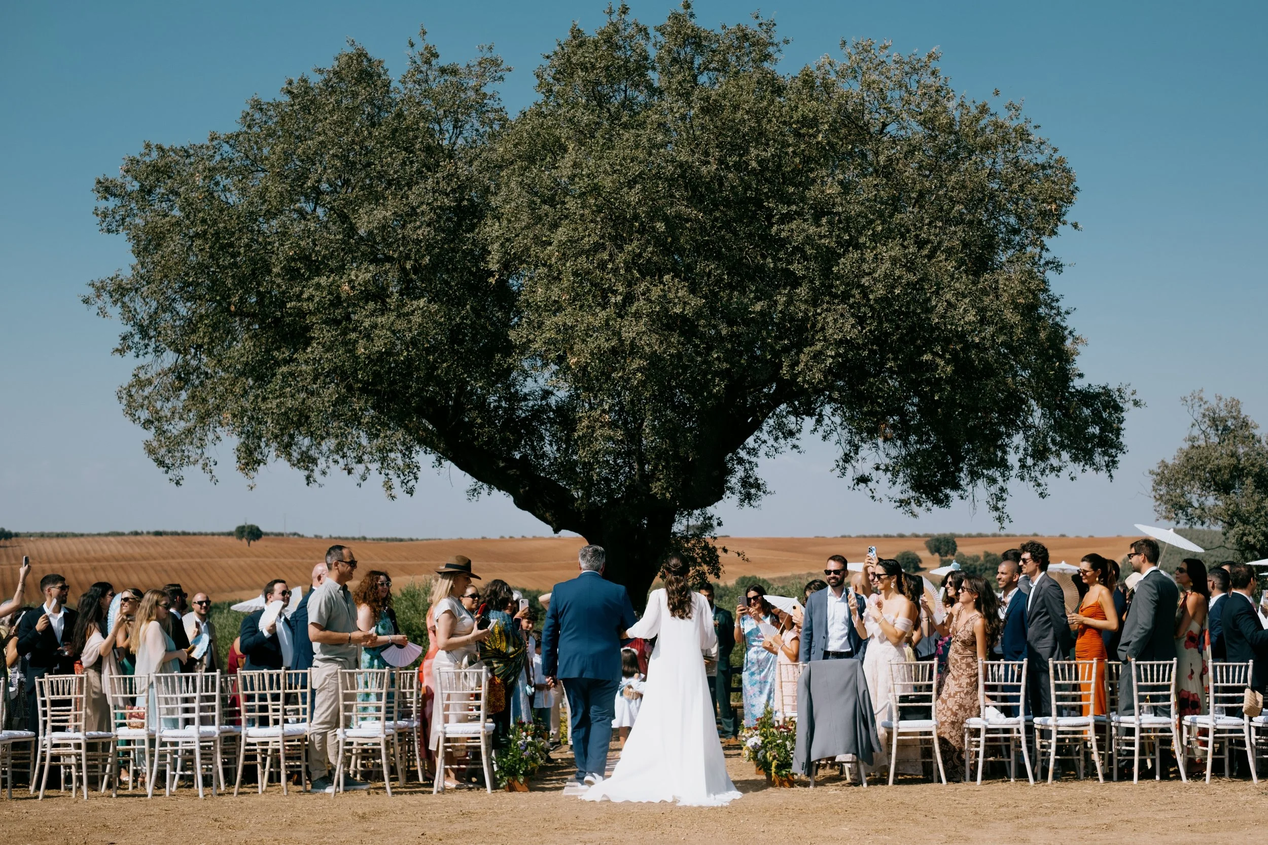 Wedding ceremony outdoors under a large tree with guests gathered in a natural setting