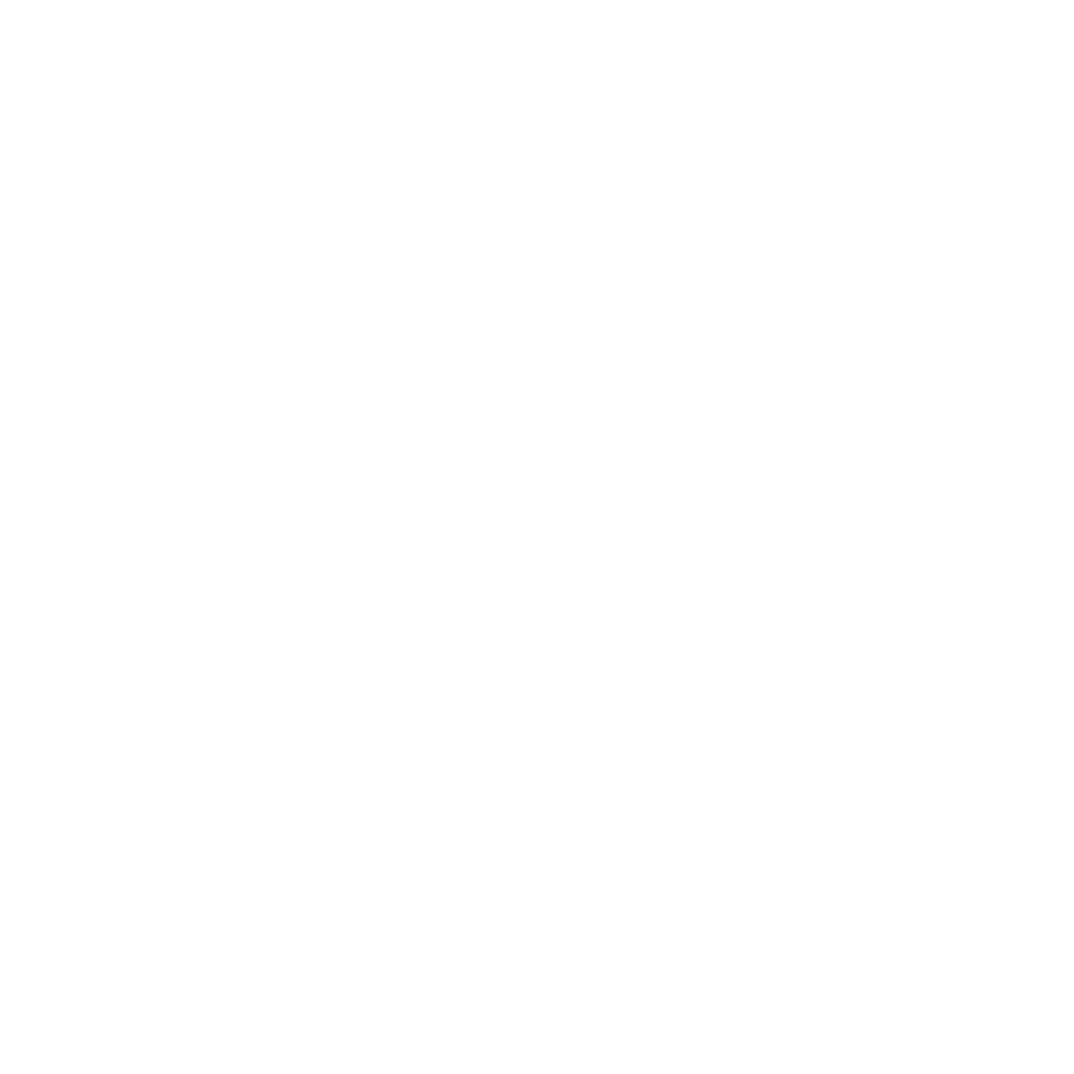 Establish - Coaching Program