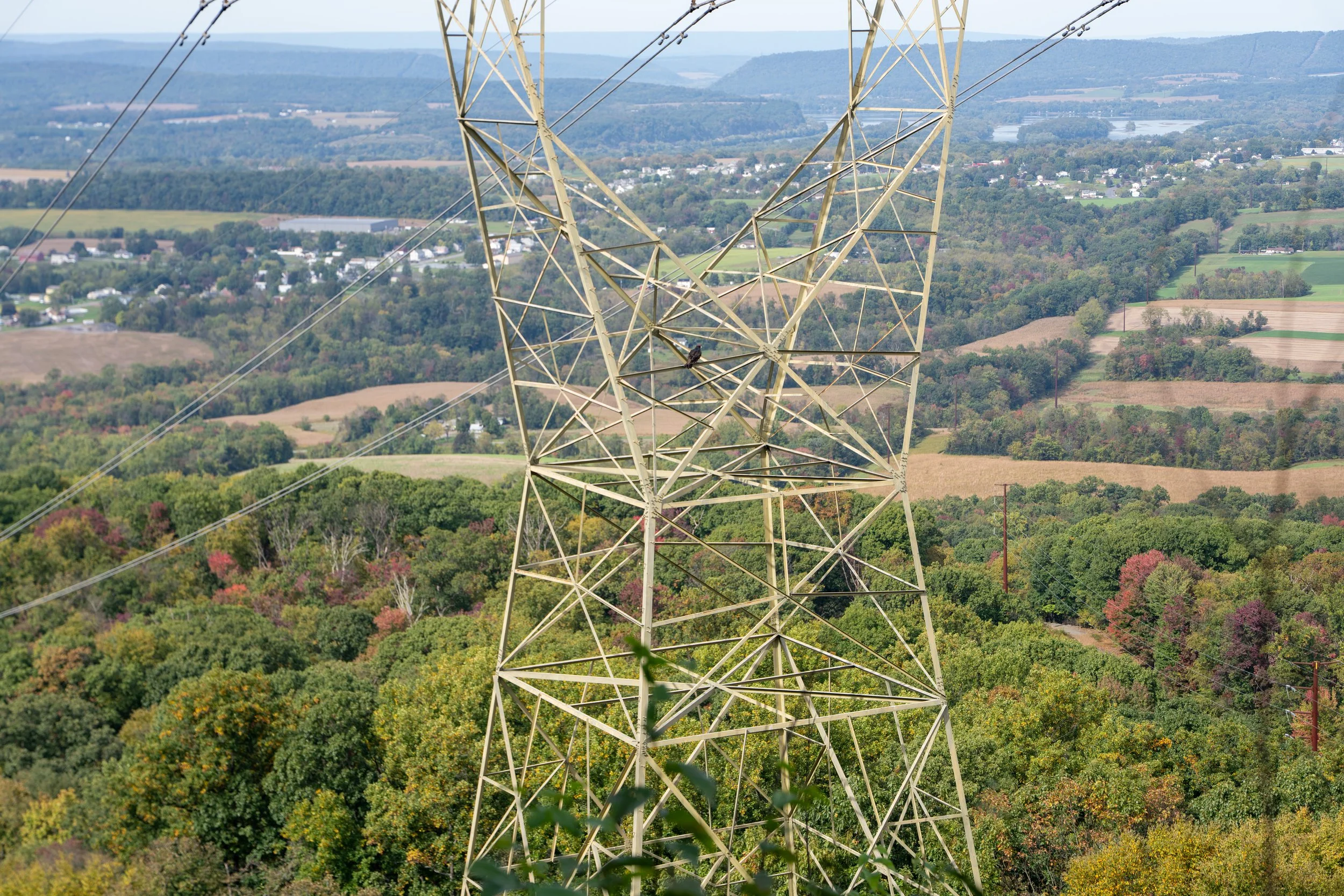 pnay-87.jpg
