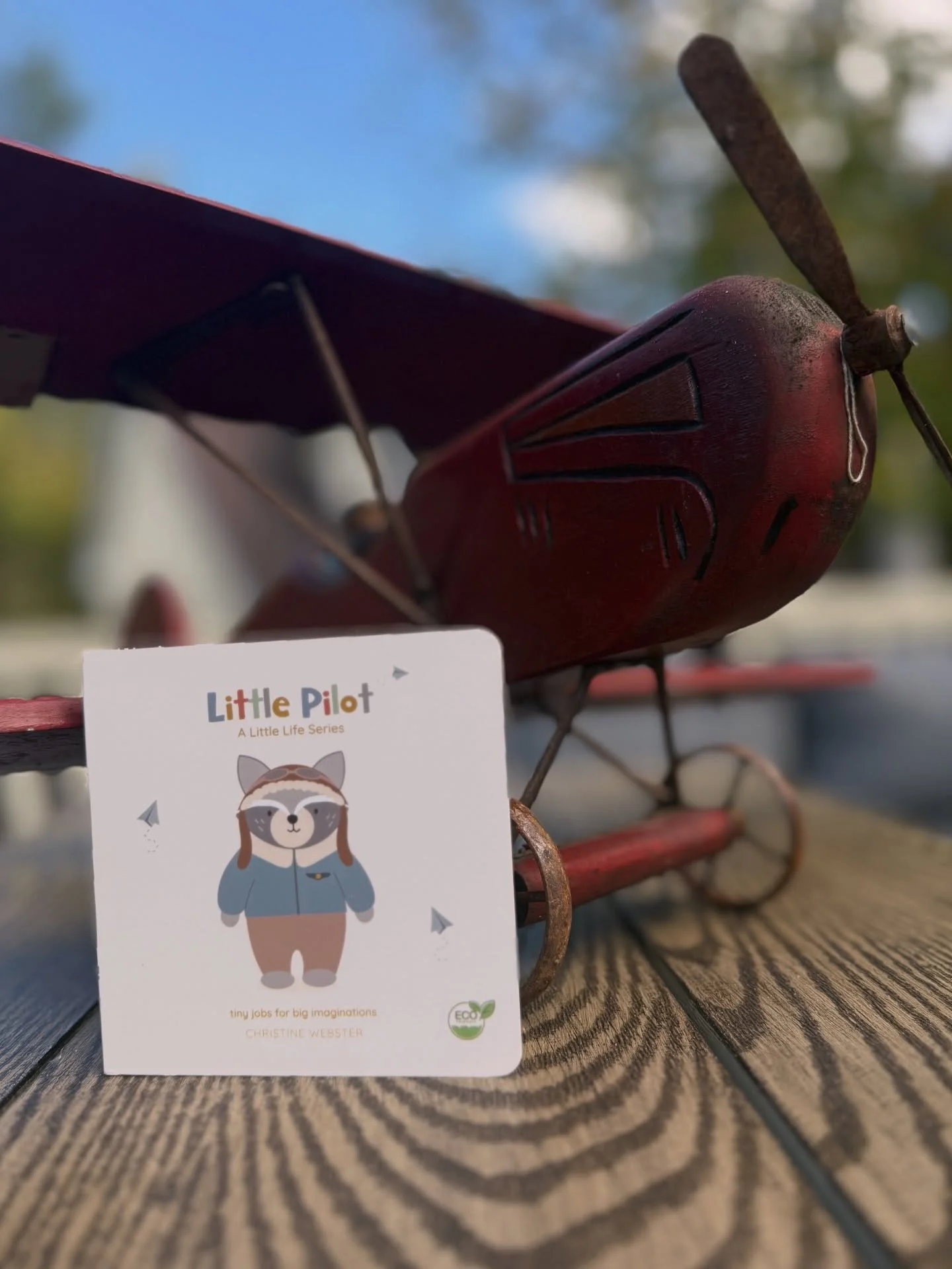 Meet Little Pilot &mdash; a tiny job for big imaginations. ✈️💭
Eco-friendly board books by Sunshine &amp; Poppies Press.

Wings. Headset. Clouds. Plane.
I am a pilot!

Everyday words that invite little minds to imagine being a pilot &mdash;
flying h