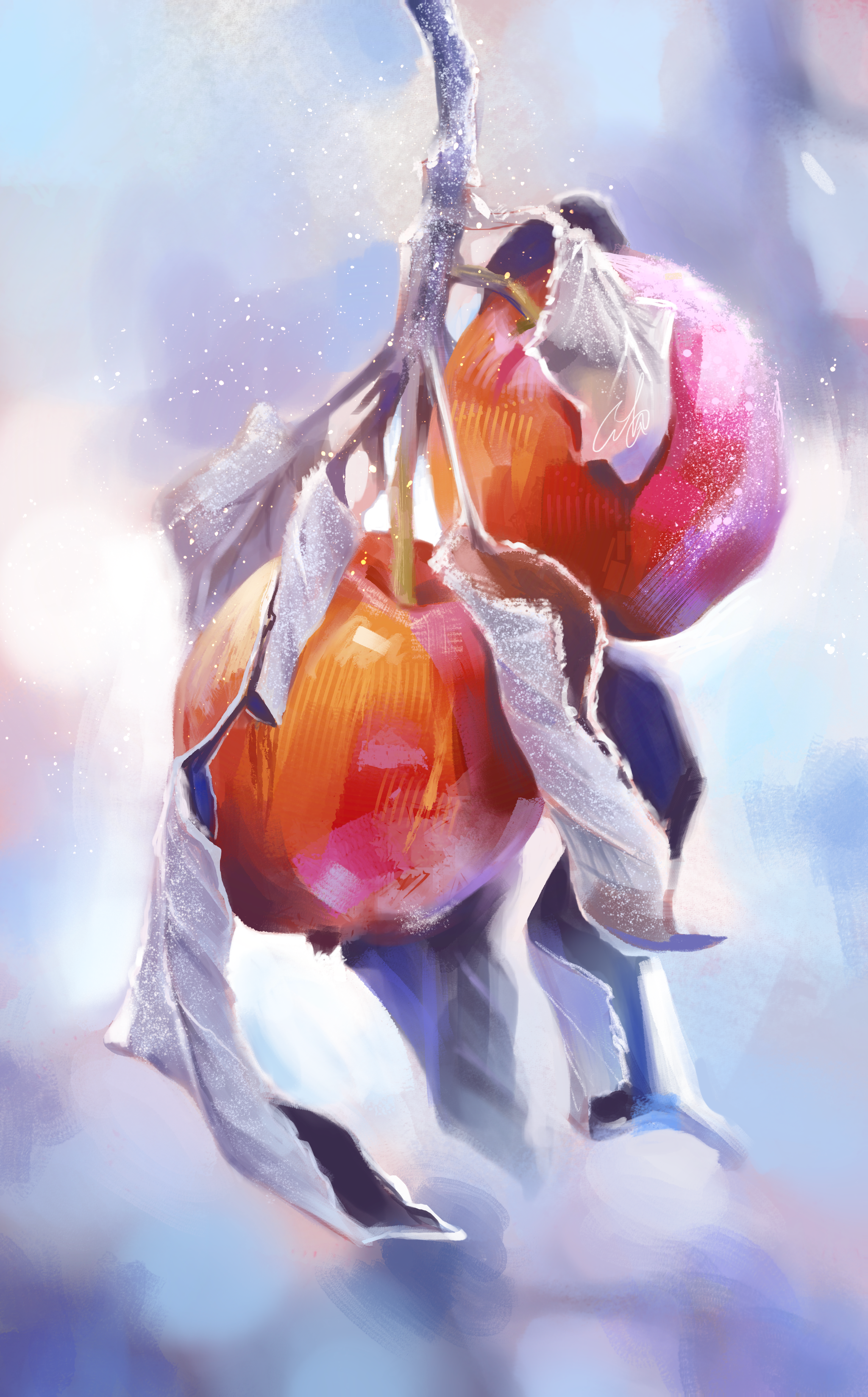 winter apples.png