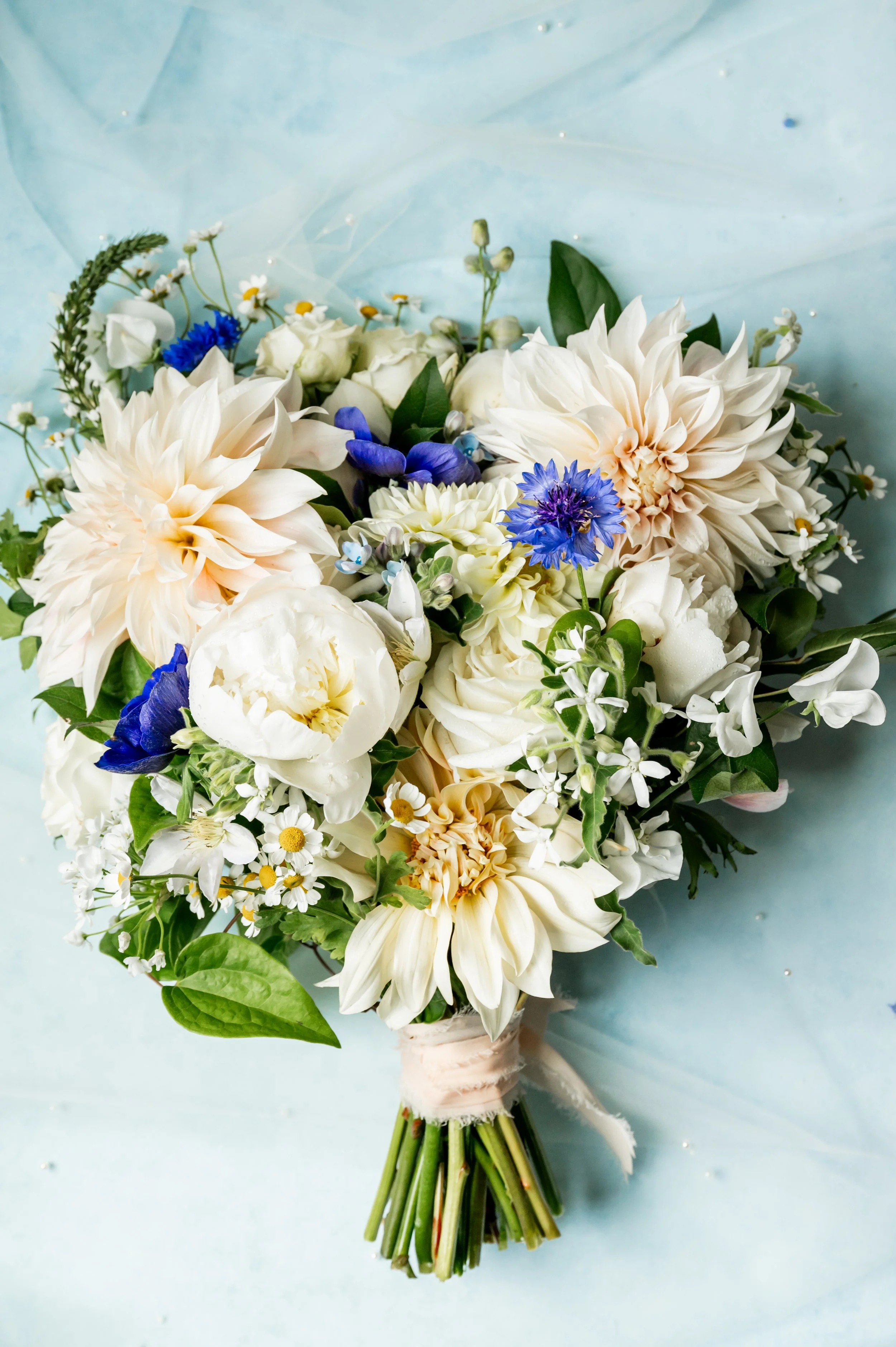 A bouquet of white peonies, cream dahlias, blue cornflowers, daisies, and other assorted flowers with green leaves, wrapped with a light pink ribbon, on a light blue background.