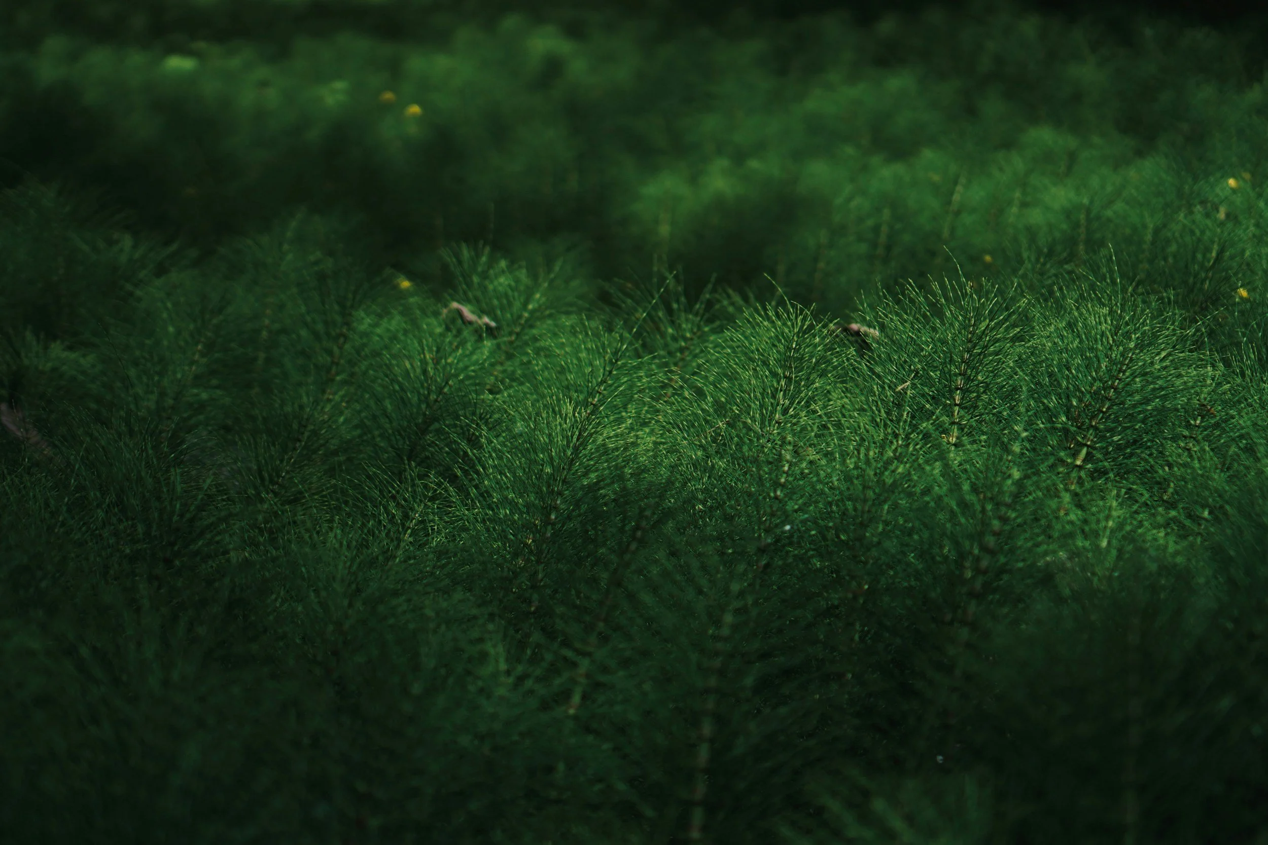 entropy_envy // temperature thirst