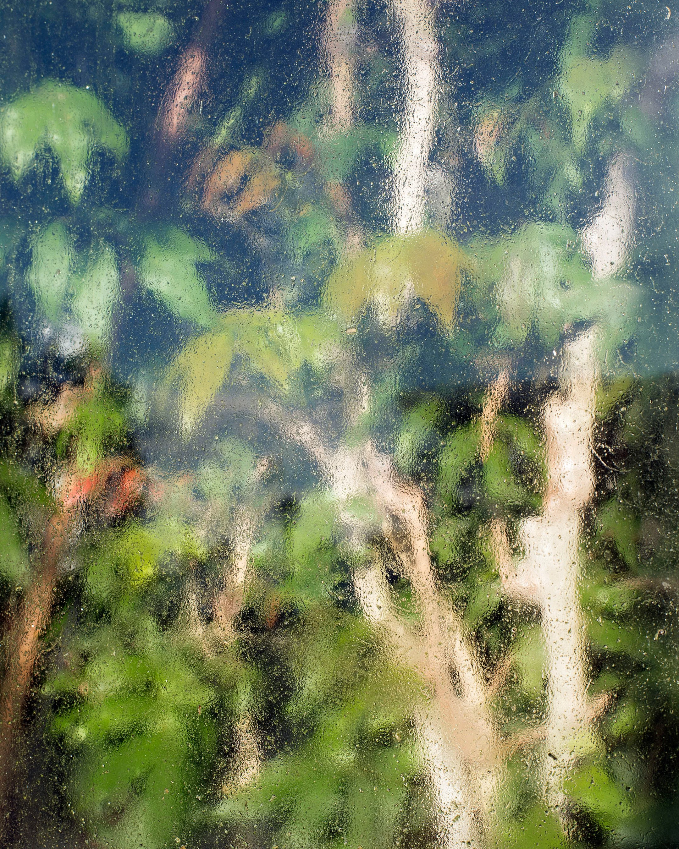 Wet Window