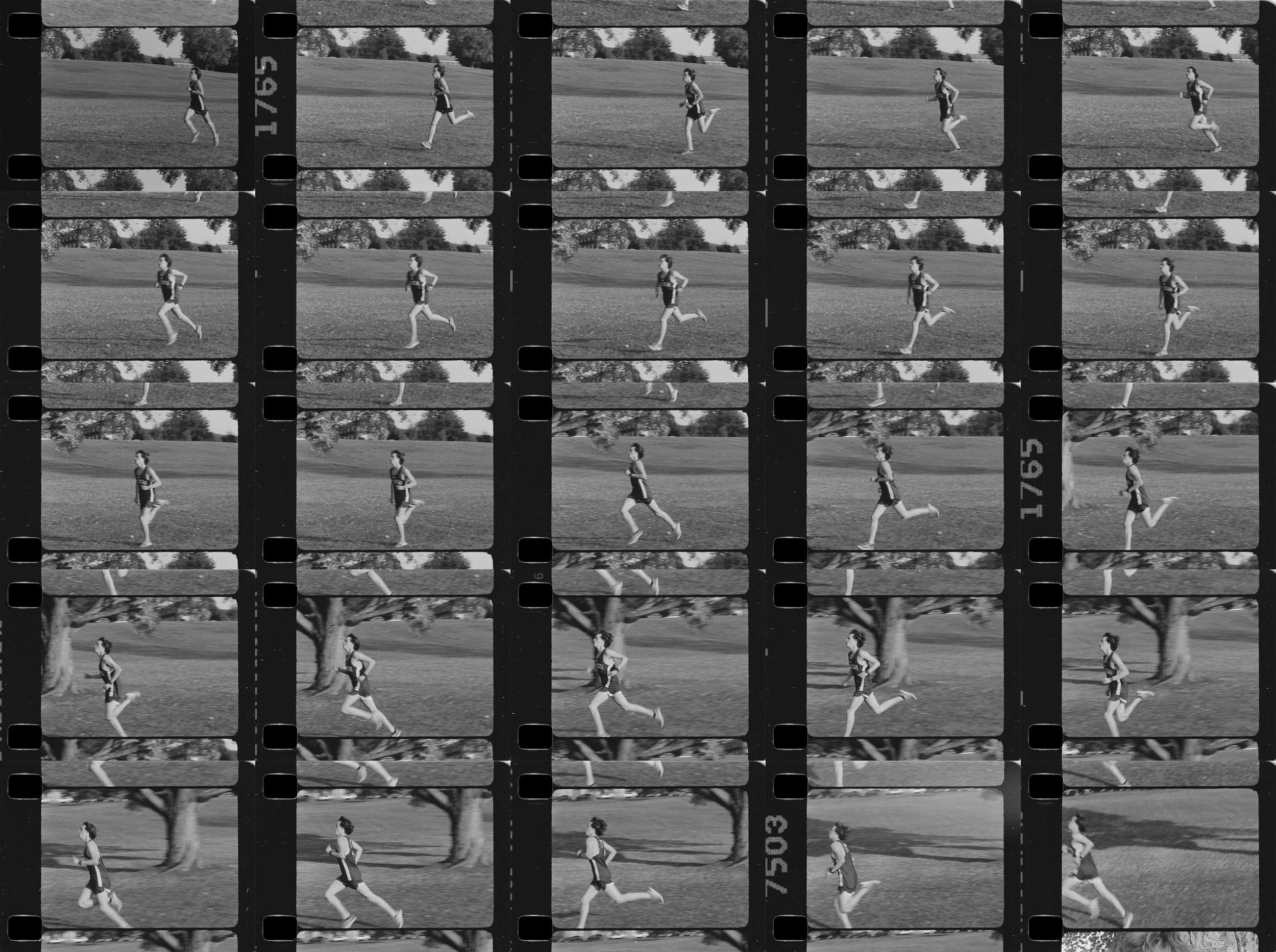 Hotchkiss Runner