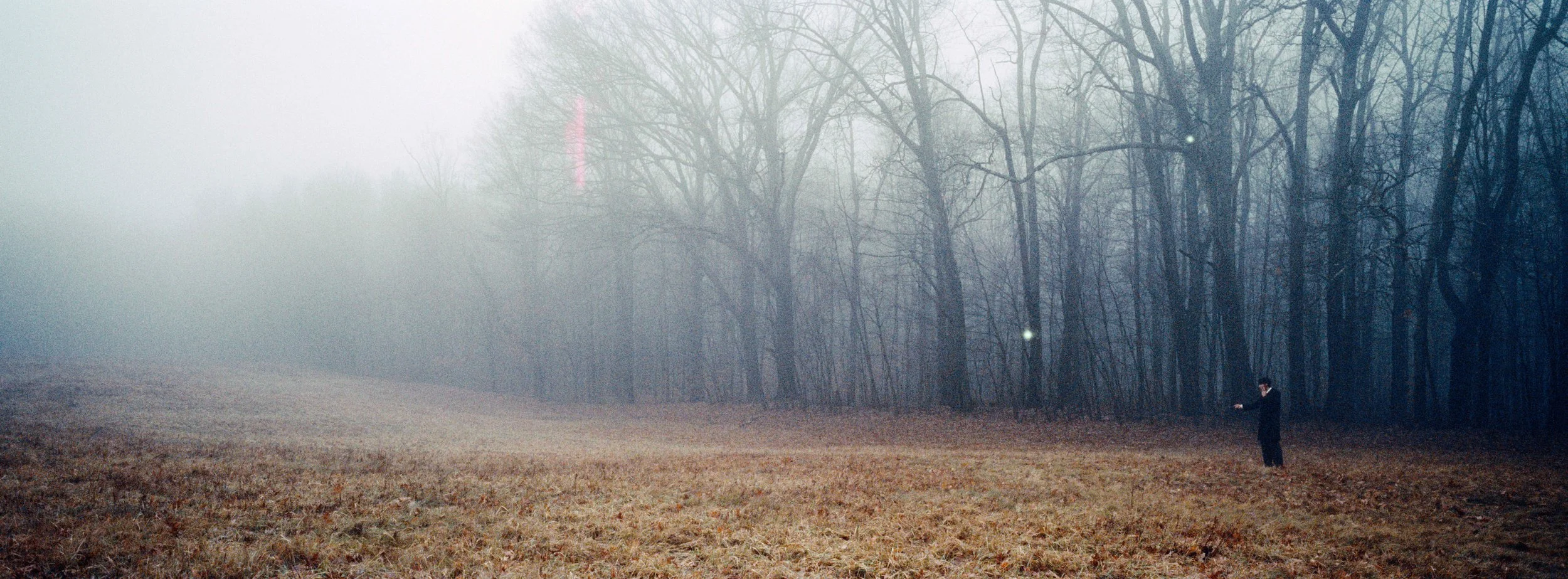 Orbs