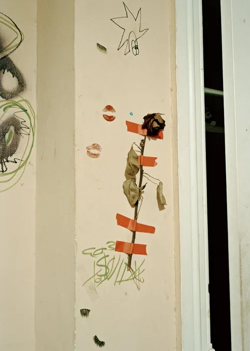 Rose, (Philadelphia)