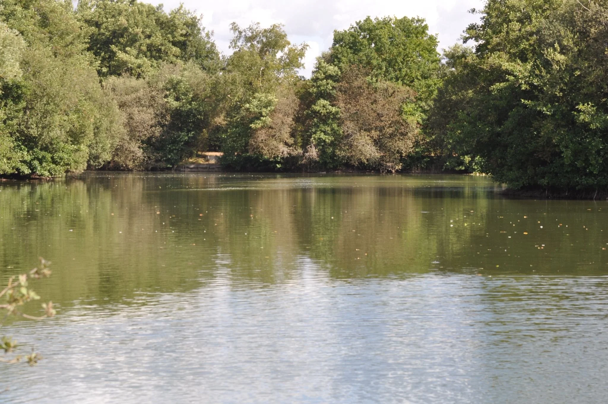 A calm river with trees on both sides, reflecting in the water, under a partly cloudy sky.