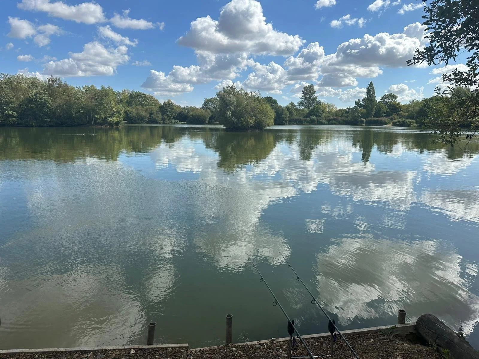 A peaceful lake scene with two fishing rods propped on the shore, calm water reflecting the sky and clouds, surrounded by trees and greenery under a partly cloudy sky.