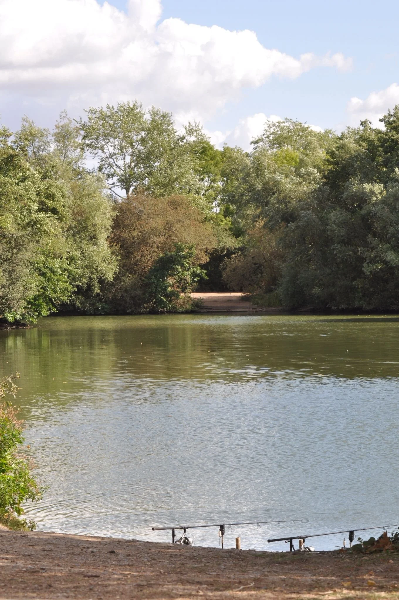 A peaceful river scene with fishing rods set up on the riverbank, surrounded by green trees and a partly cloudy sky.