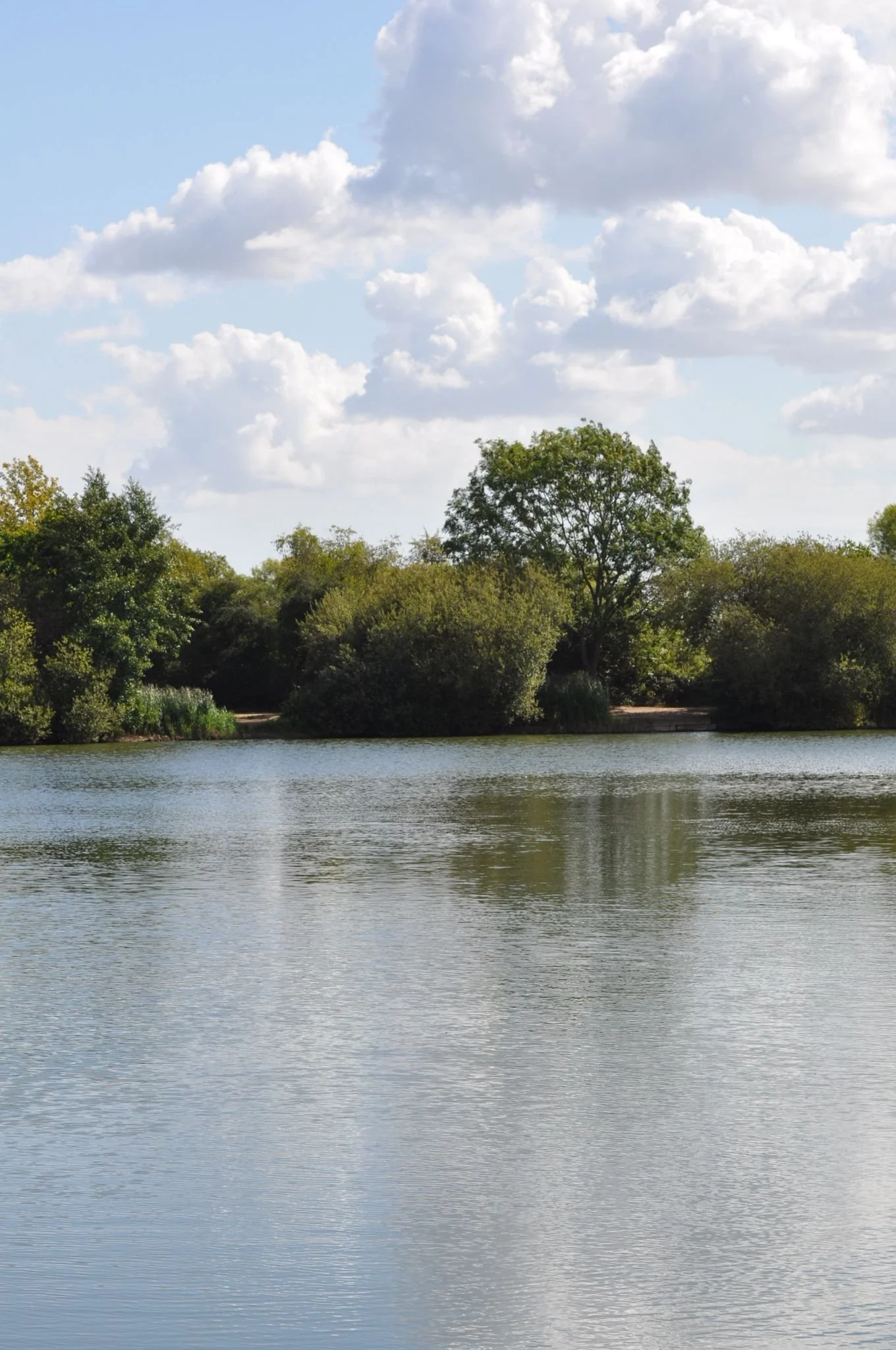A serene lake surrounded by lush green trees under a partly cloudy sky.