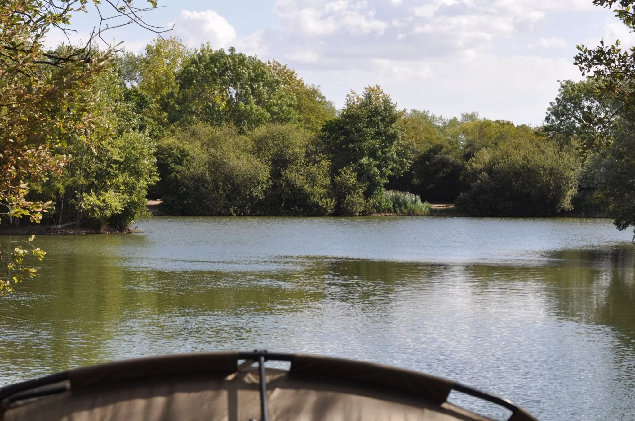 River with lush green trees on both sides, seen from a boat on calm water during daytime with partly cloudy sky.