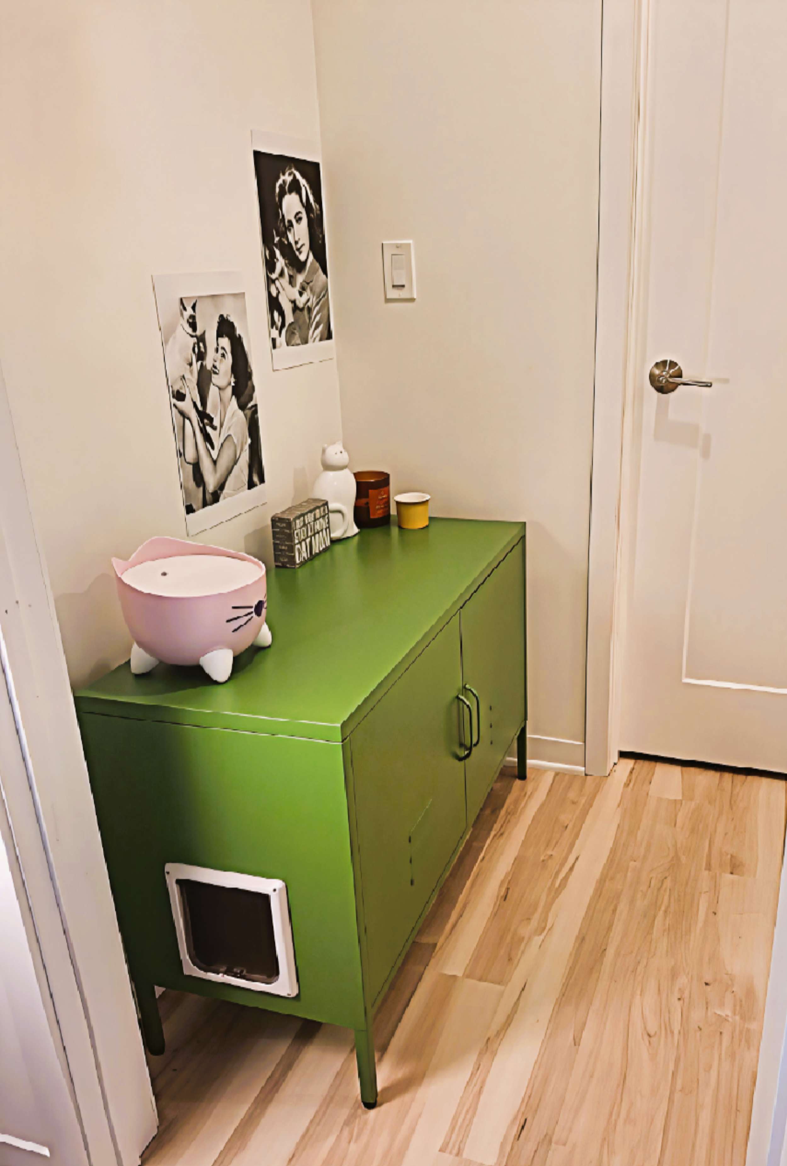 The Benefits of Hidden Litter Box Enclosures: A Cleaner Home for You and Your Cat