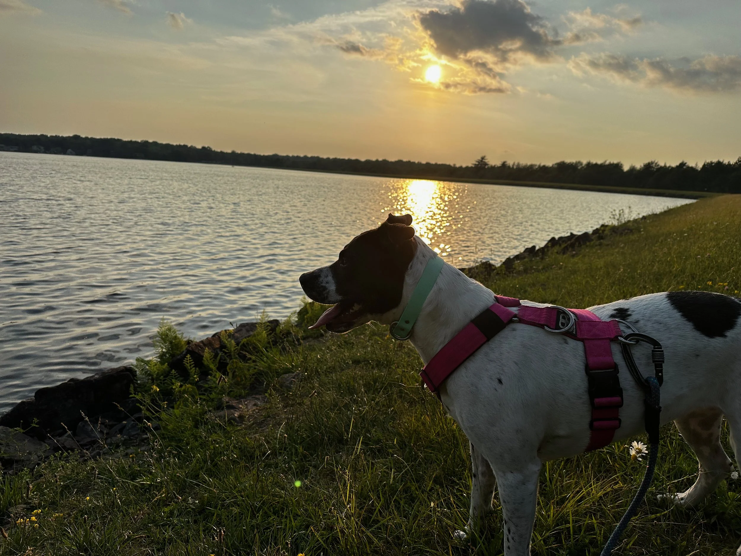 Ter_PoconosPIcs - 60.jpeg