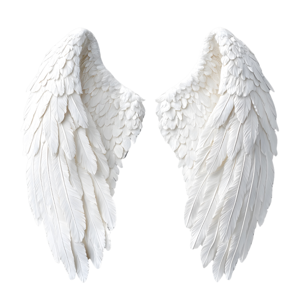 A pair of white angel wings with detailed feathers.