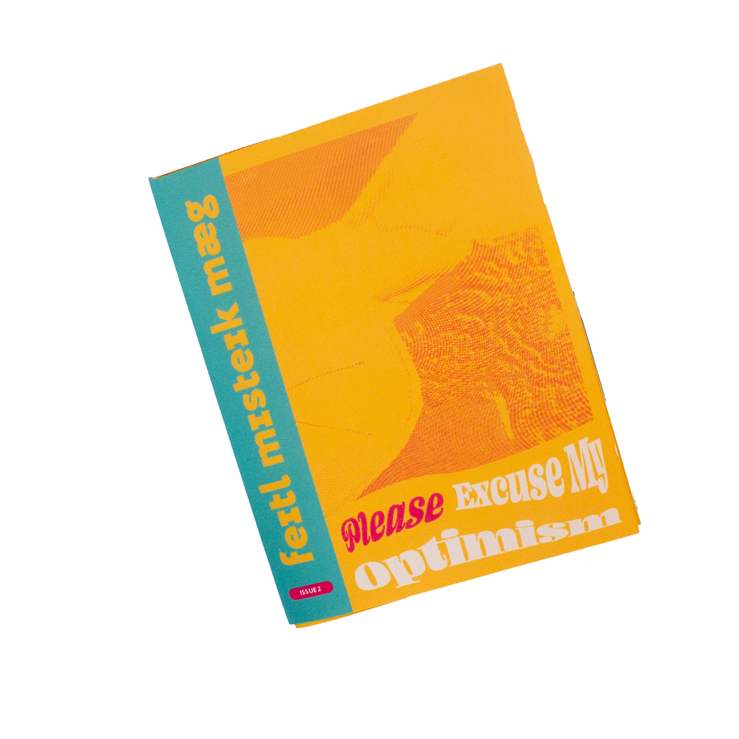 Please Excuse My Optimism zine (Issue 2)