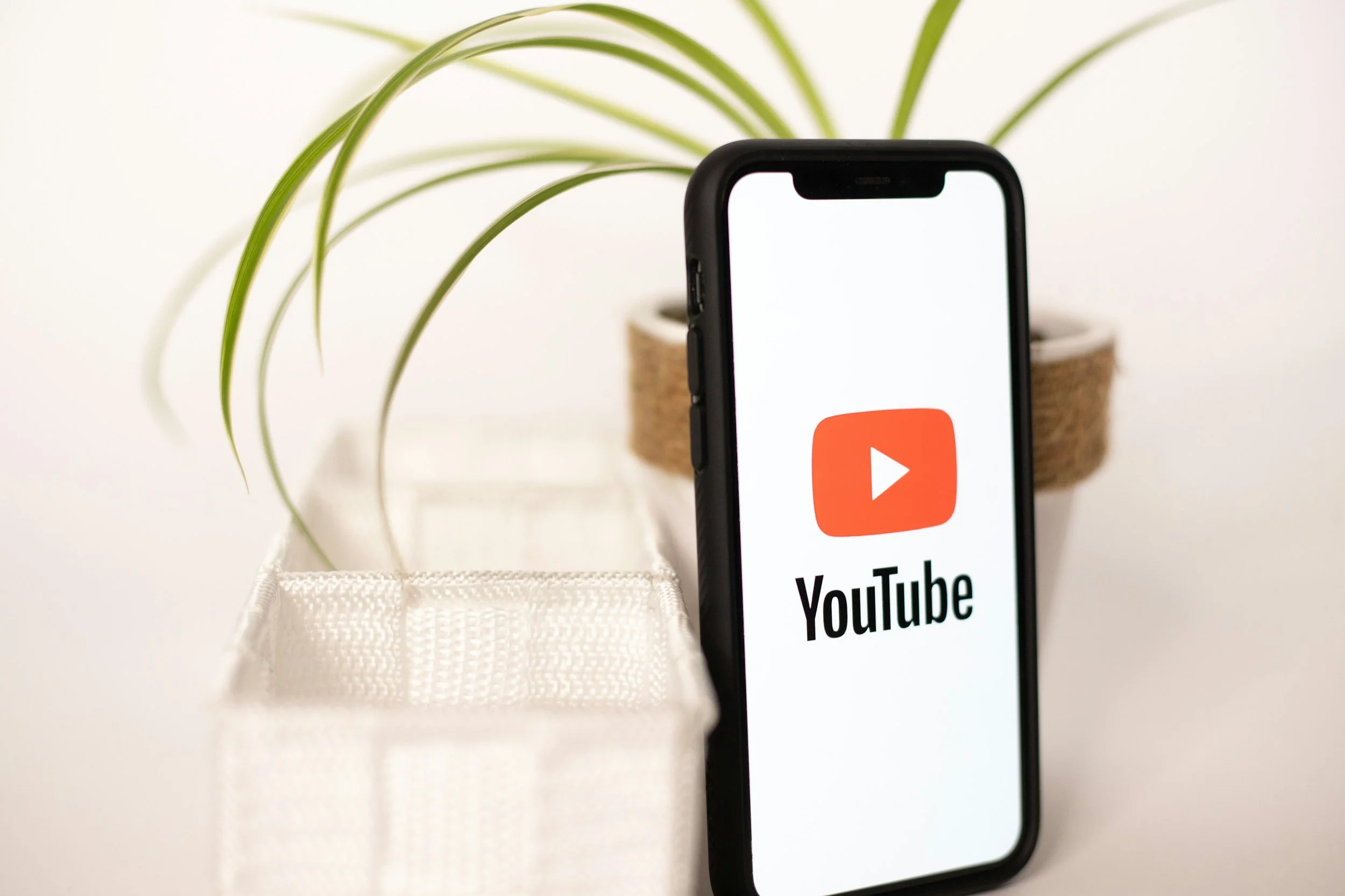 A smartphone with the YouTube app open on the screen, placed on a white surface next to a small potted plant with long green leaves.