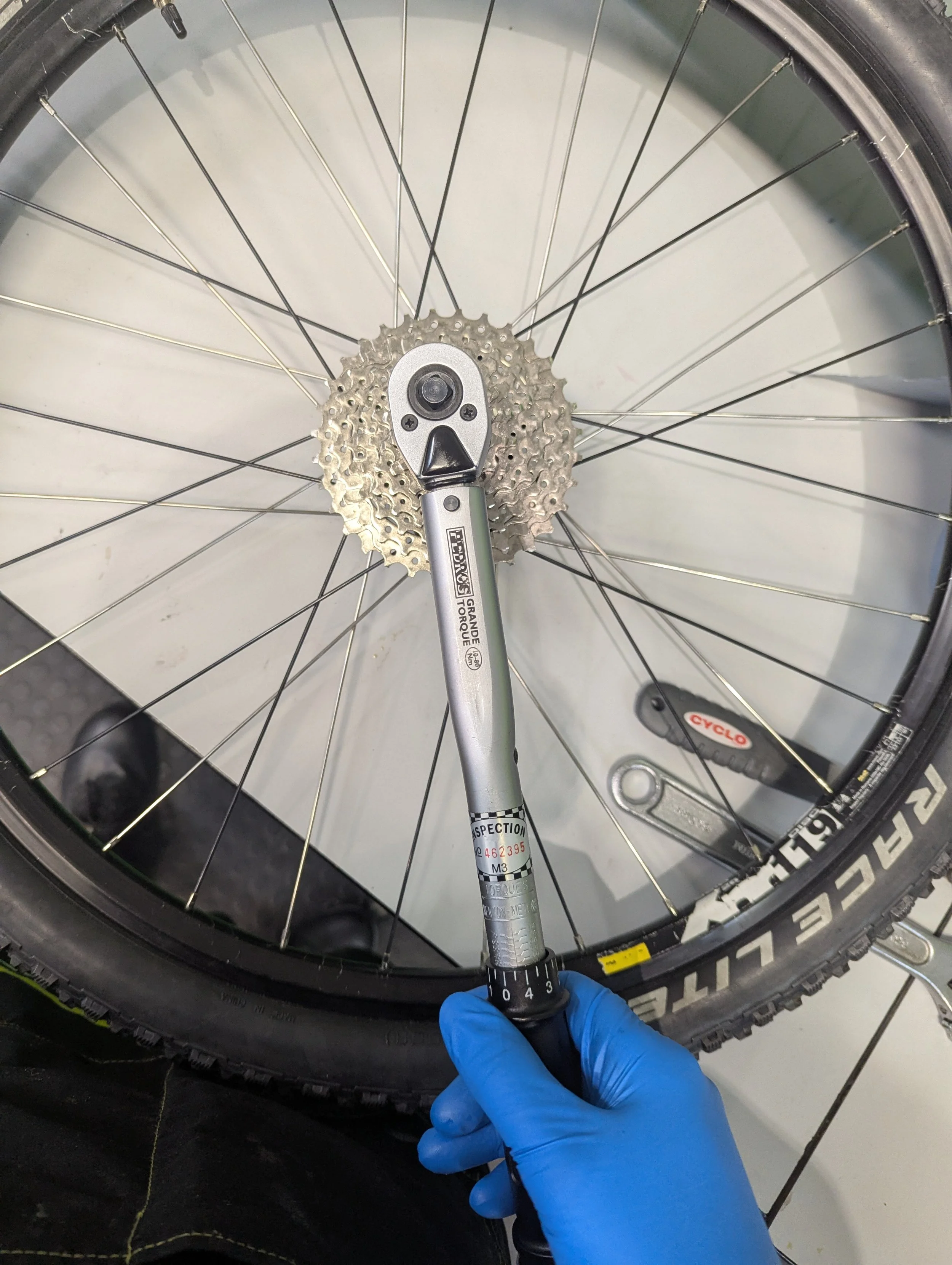 Close-up of a hand in a blue glove holding a torque wrench adjusting the rear hub of a bicycle wheel with gears, in a workshop setting.