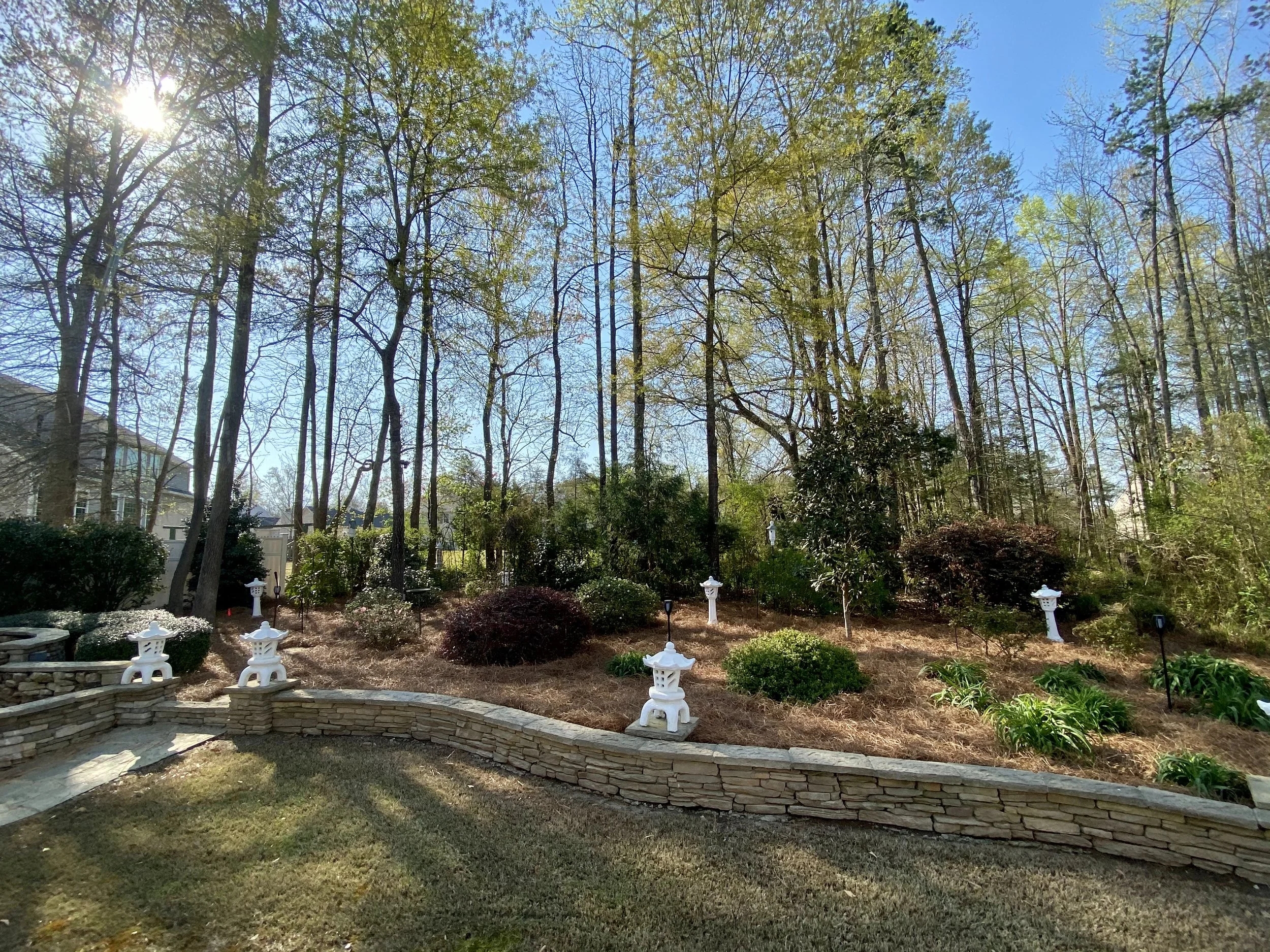 A landscaped backyard with a curved stone wall, small white Japanese lanterns, bushes, and tall leafless trees under a bright blue sky with sunlight.