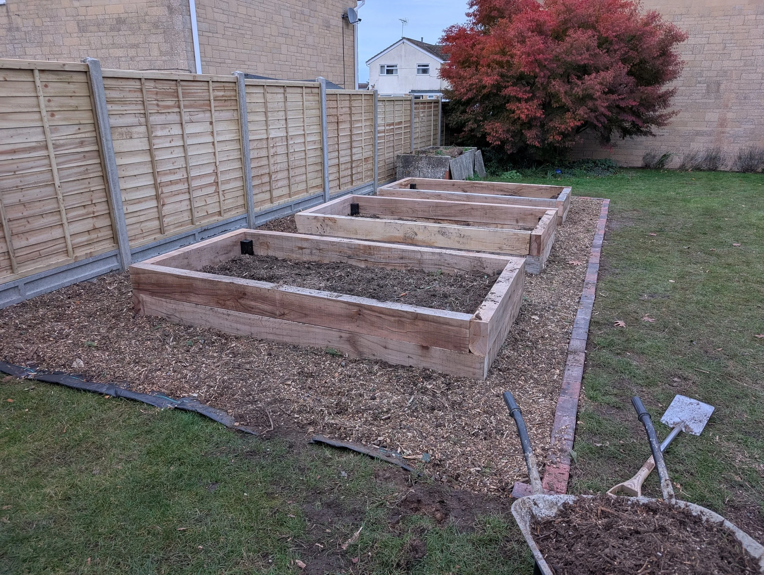 Garden beds under construction in a backyard with a wooden fence and a tree with red leaves.