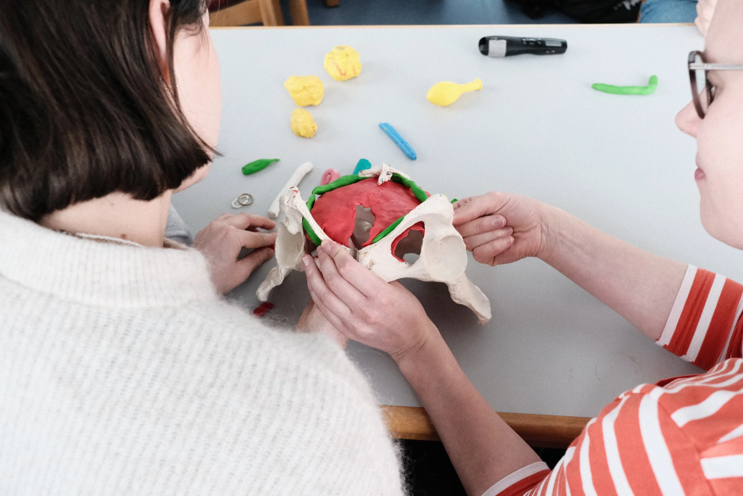 Zwei Menschen betrachten ein Modell eines menschlichen Beckens mit eingezeichneter Struktur. Auf dem Tisch liegen Knete, Marker und andere Gegenstände.