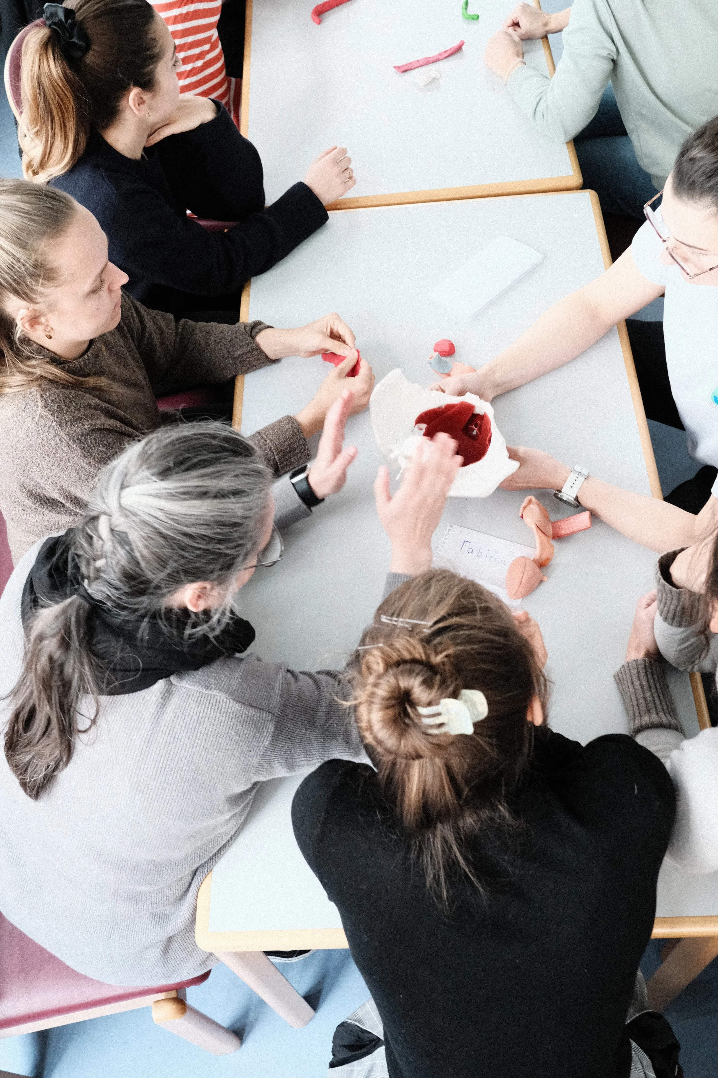 Grundkurs Beckenbodentherapie Junginger-Baessler-Konzept