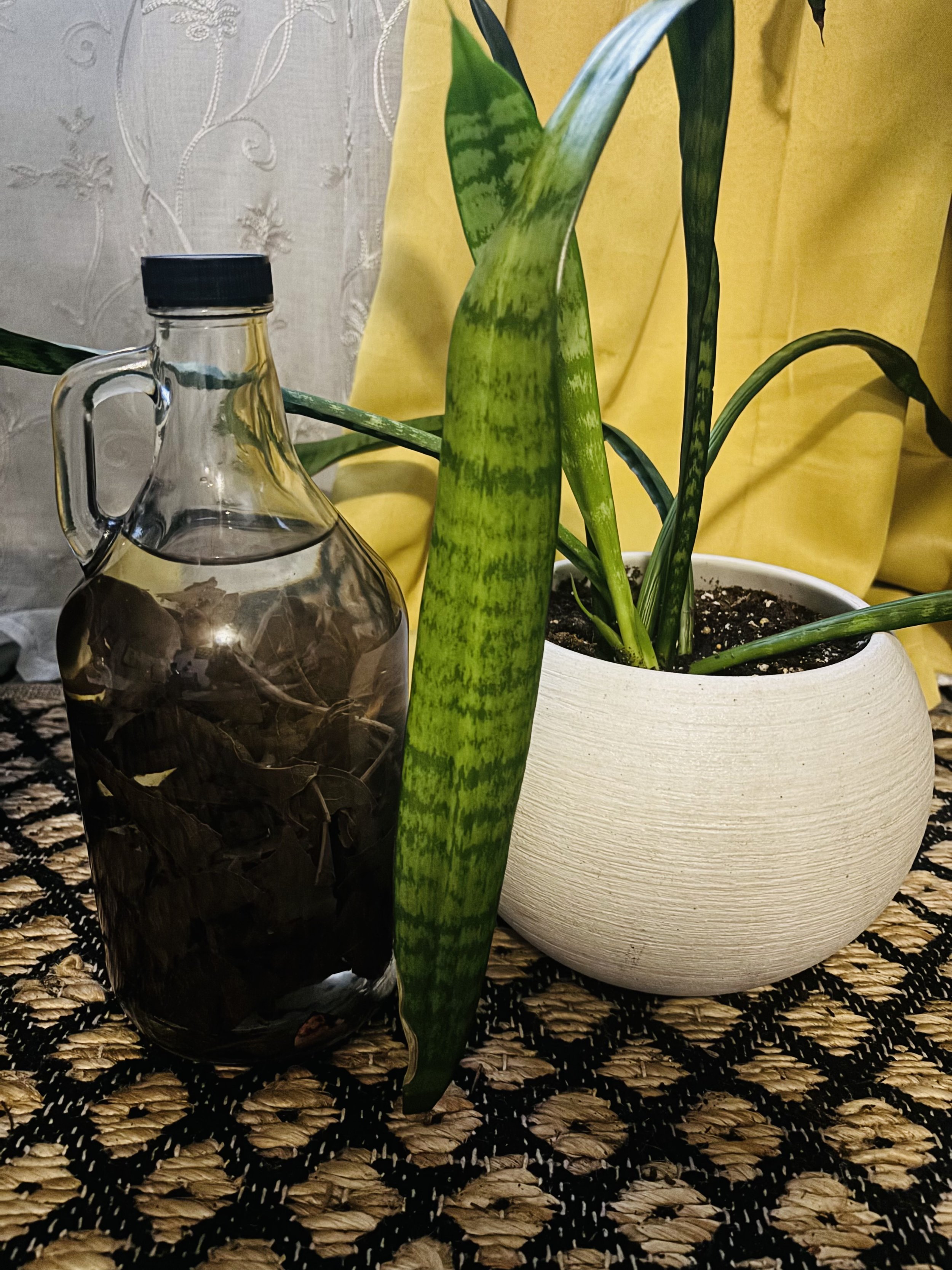 Herbal Blend Home Cleansing