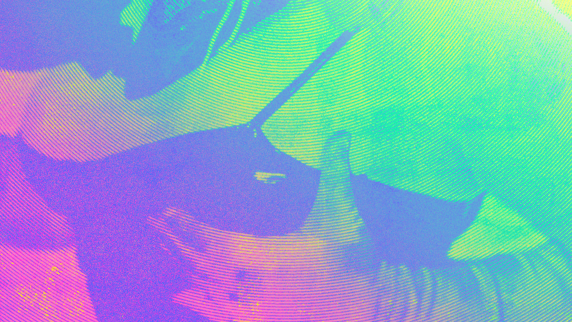 Mighty Hoopla festival photo