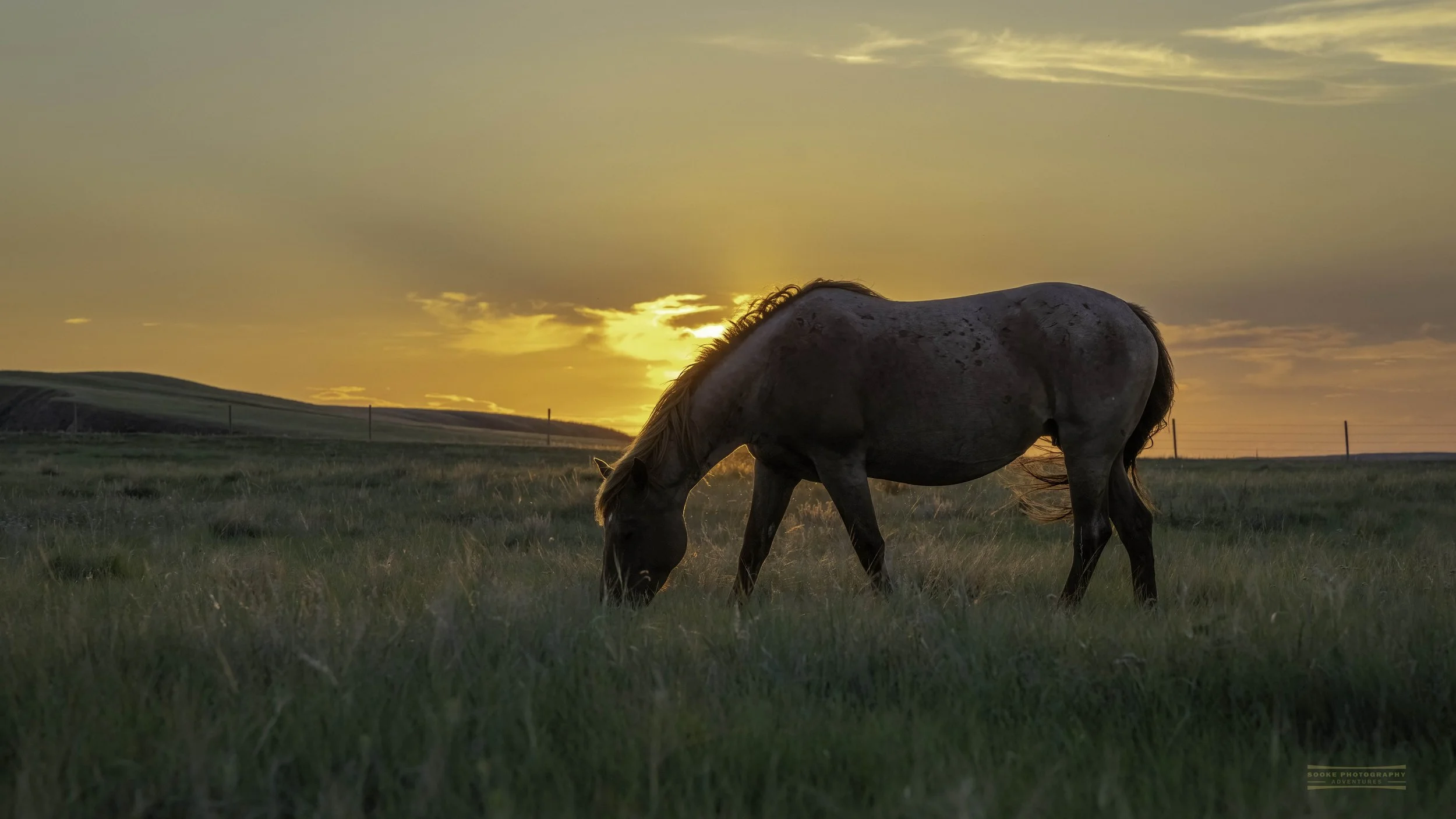 Road Trip Photography in Alberta