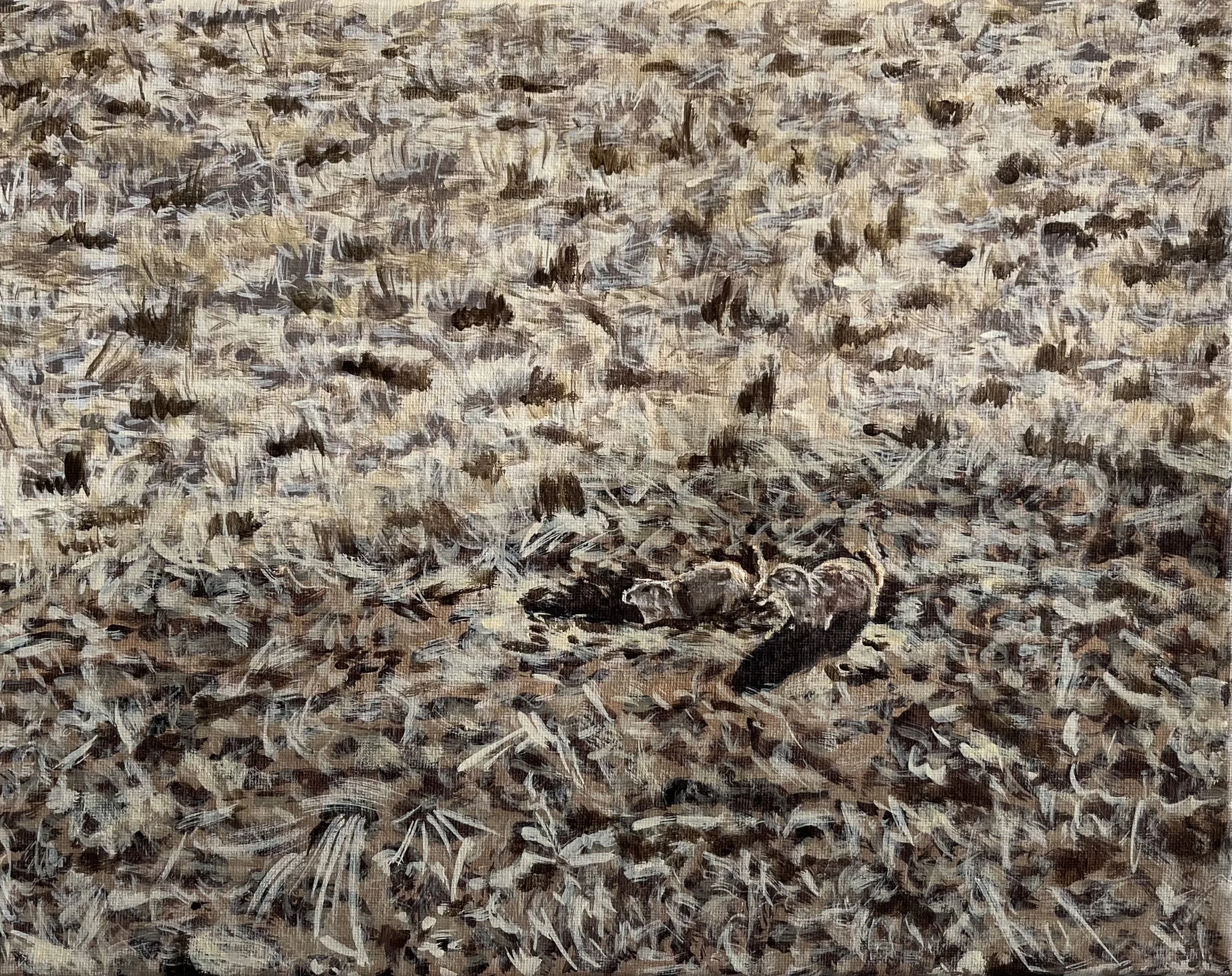 Prairie Dog Village, December 2022, Acrylic on Canvas, 11x14 in.