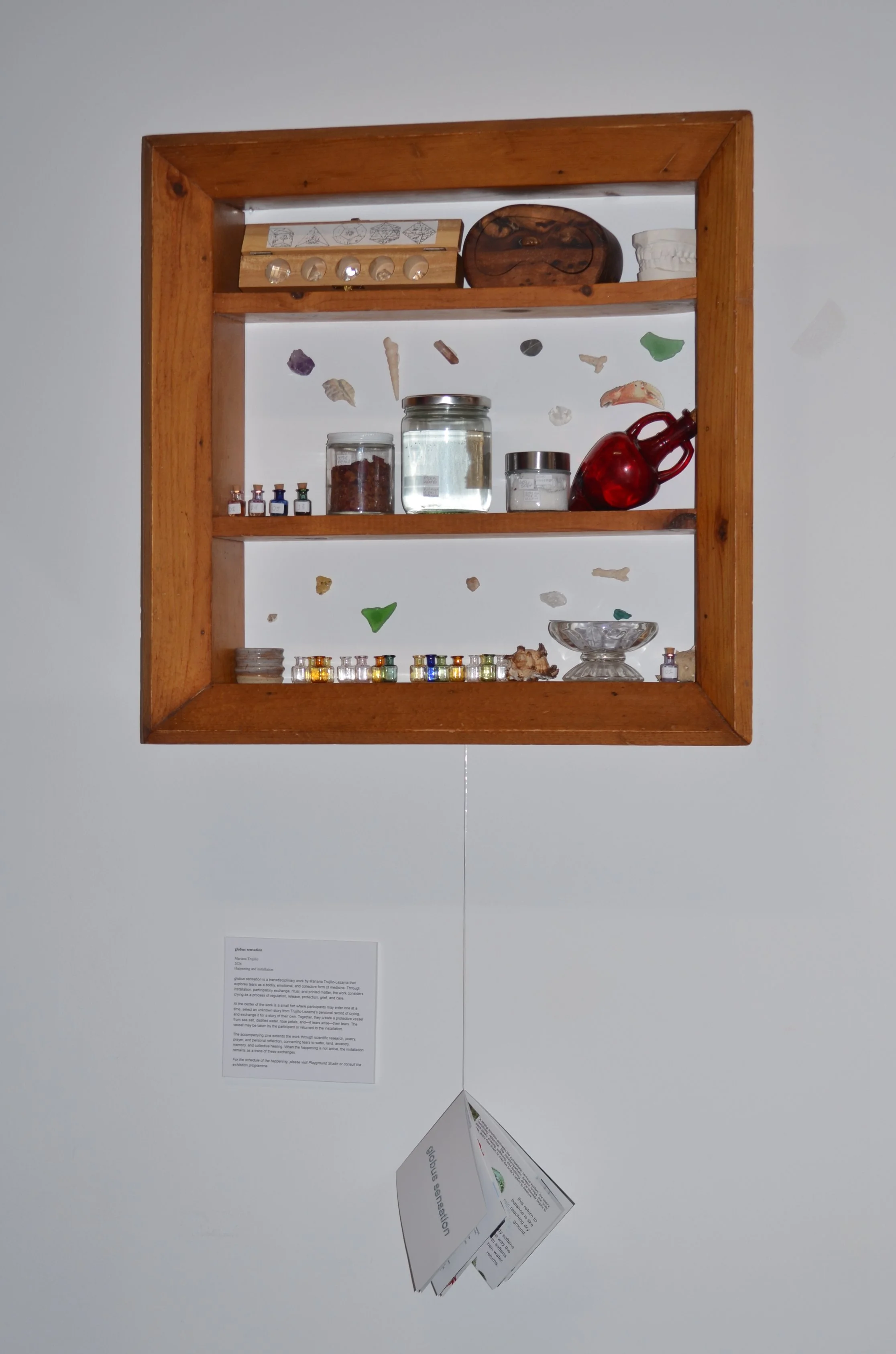 Globus Sensation, 2026, Installation – Mariana Trujillo-Lezama