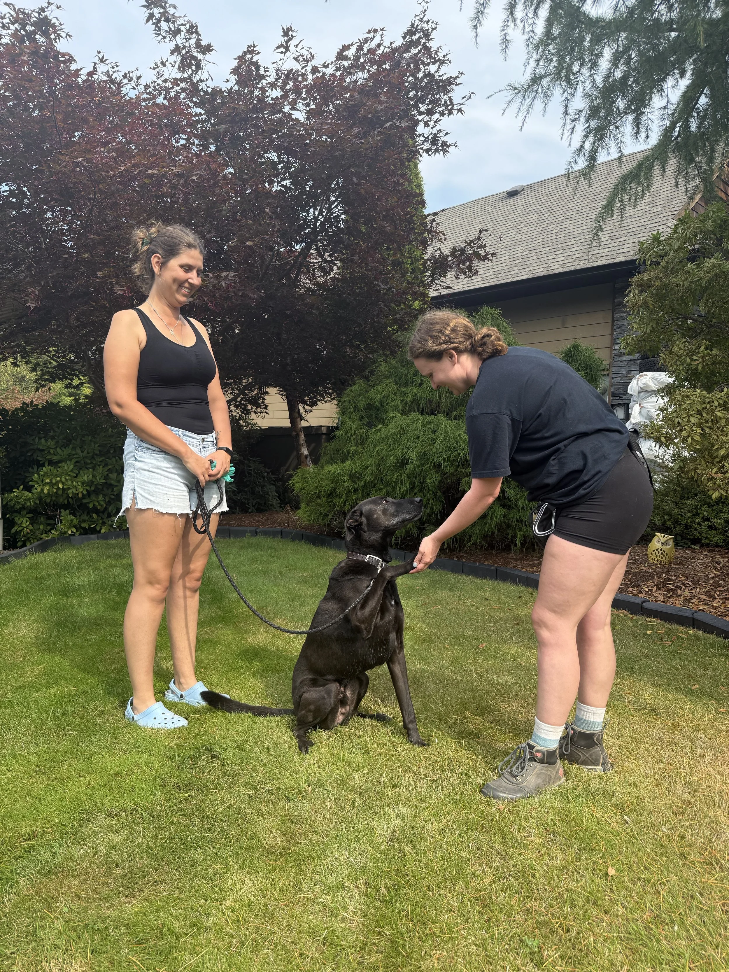 1:1 Training Session