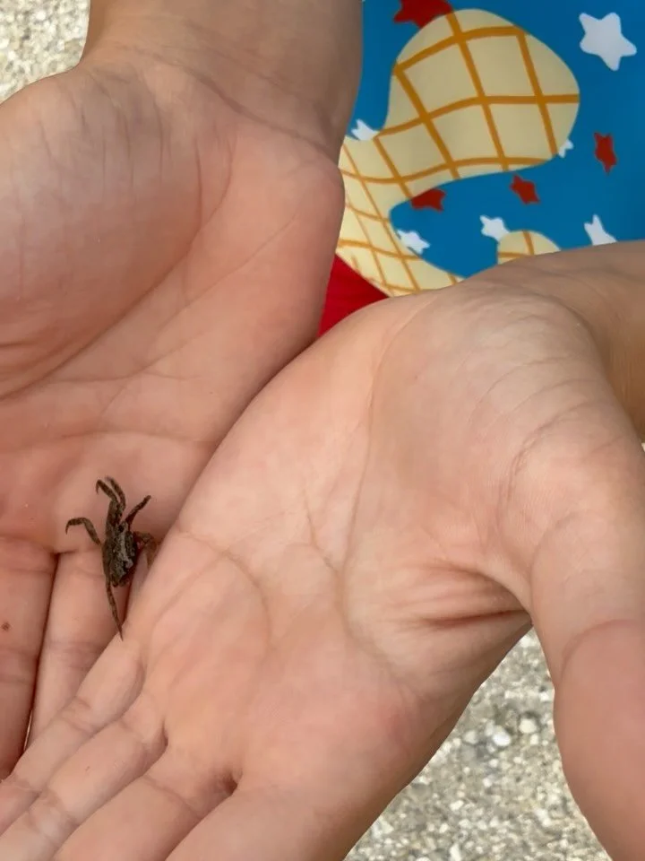 In fishing, learning and loving go hand in hand 💙🎣
#handeyecoordination #ot #kidsfishing #buildingpatience #jupiter #jettyfishing #jupiterkids #fish #sawfishbay