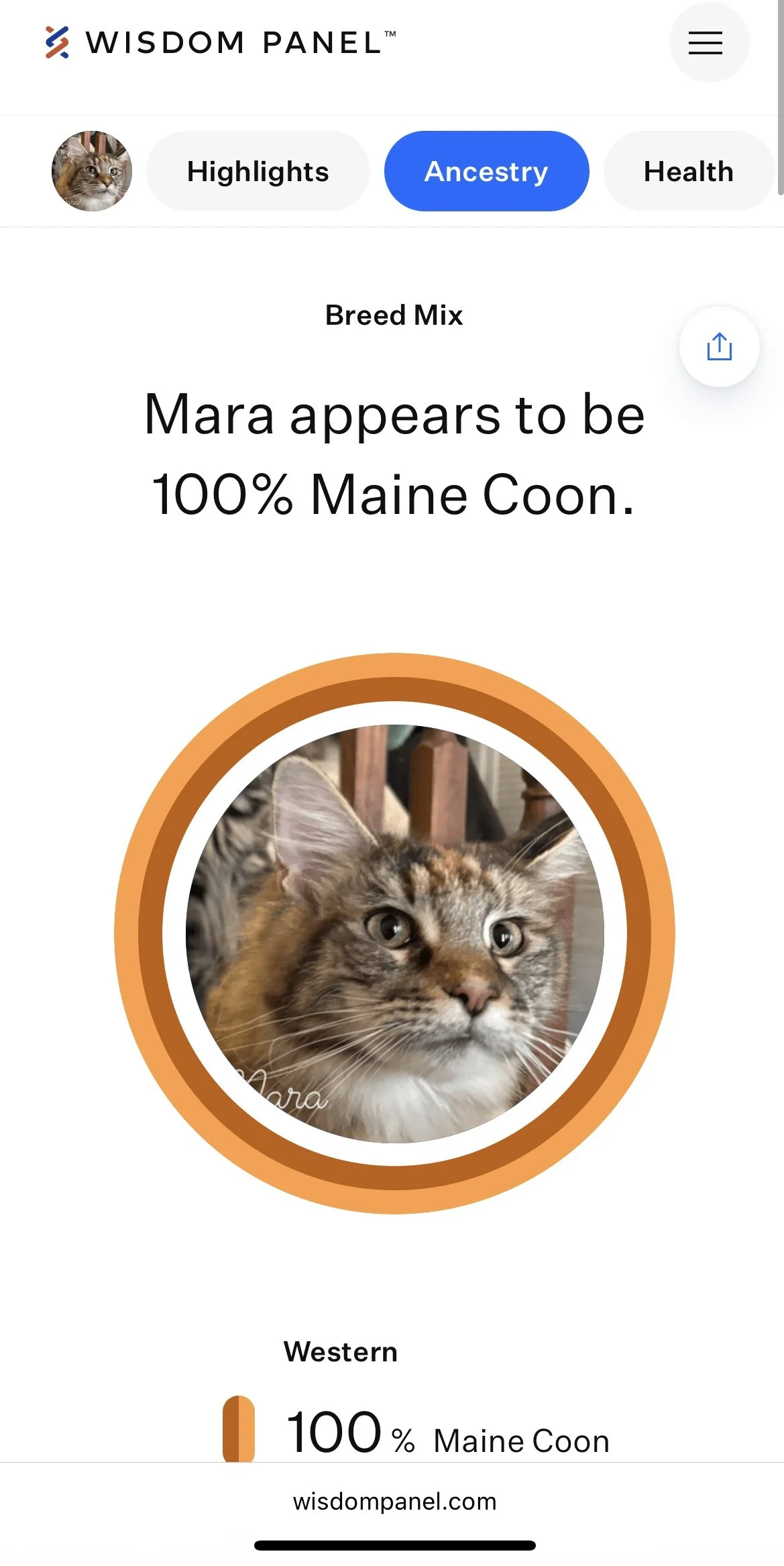 Screenshot of a mobile app displaying a cat's ancestry related to a breed mix called 'Maine Coon'. The app features a circular profile picture of a kitten with tabby markings and green eyes. The app interface includes navigation options labeled 'Highlights', 'Ancestry', and 'Health'.