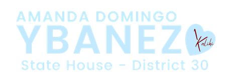 Vote for YBANEZ - House District 30