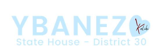 Vote for YBANEZ - House District 30